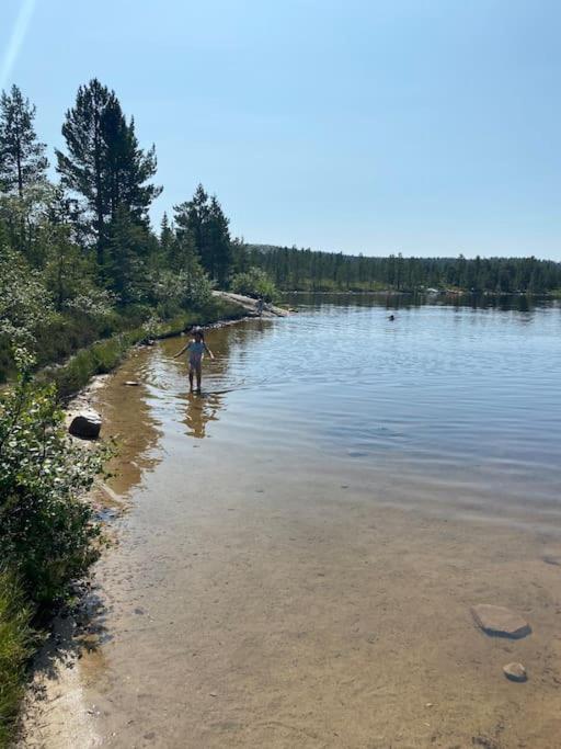 Delikat tømmerhytte på Blefjell