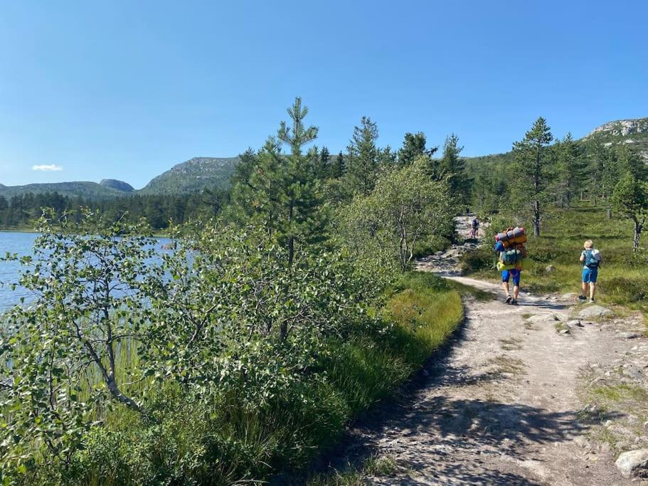 Delikat tømmerhytte på Blefjell