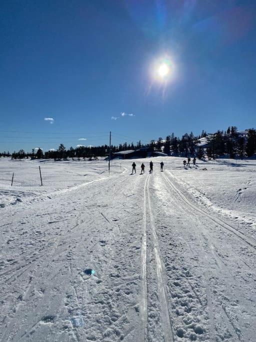 Delikat tømmerhytte på Blefjell