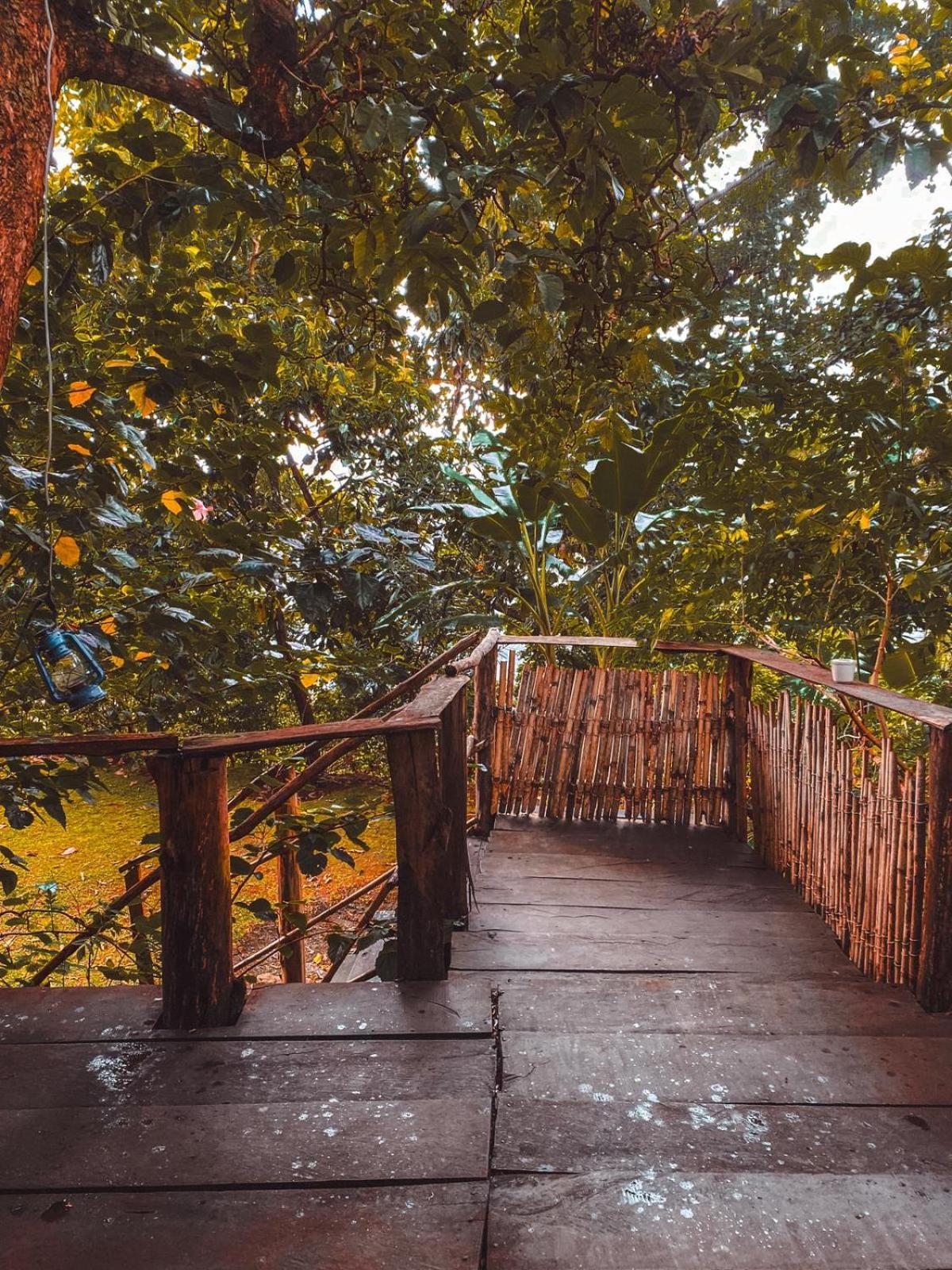 Sipi Falls Cottages