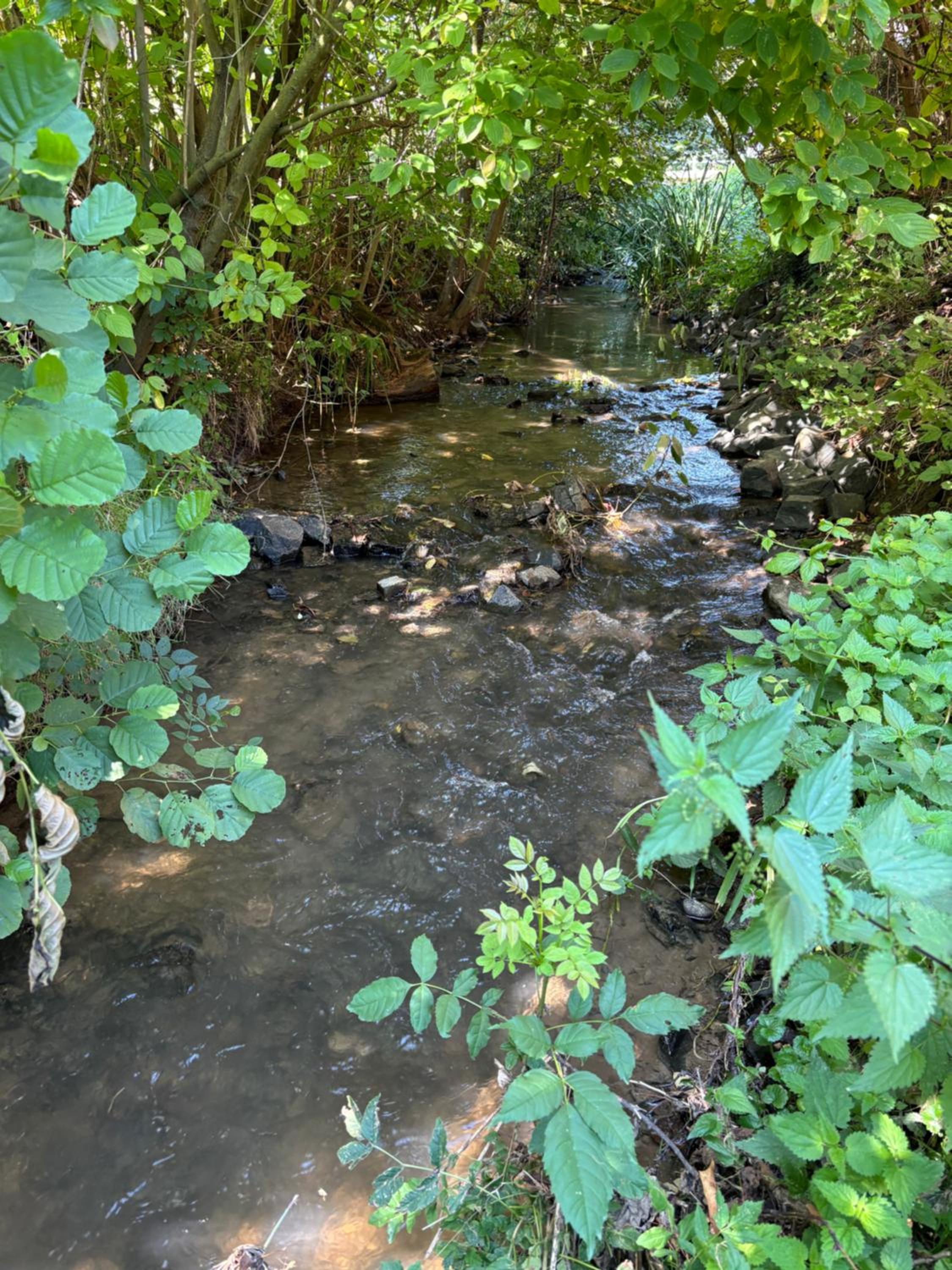 Photo 44
