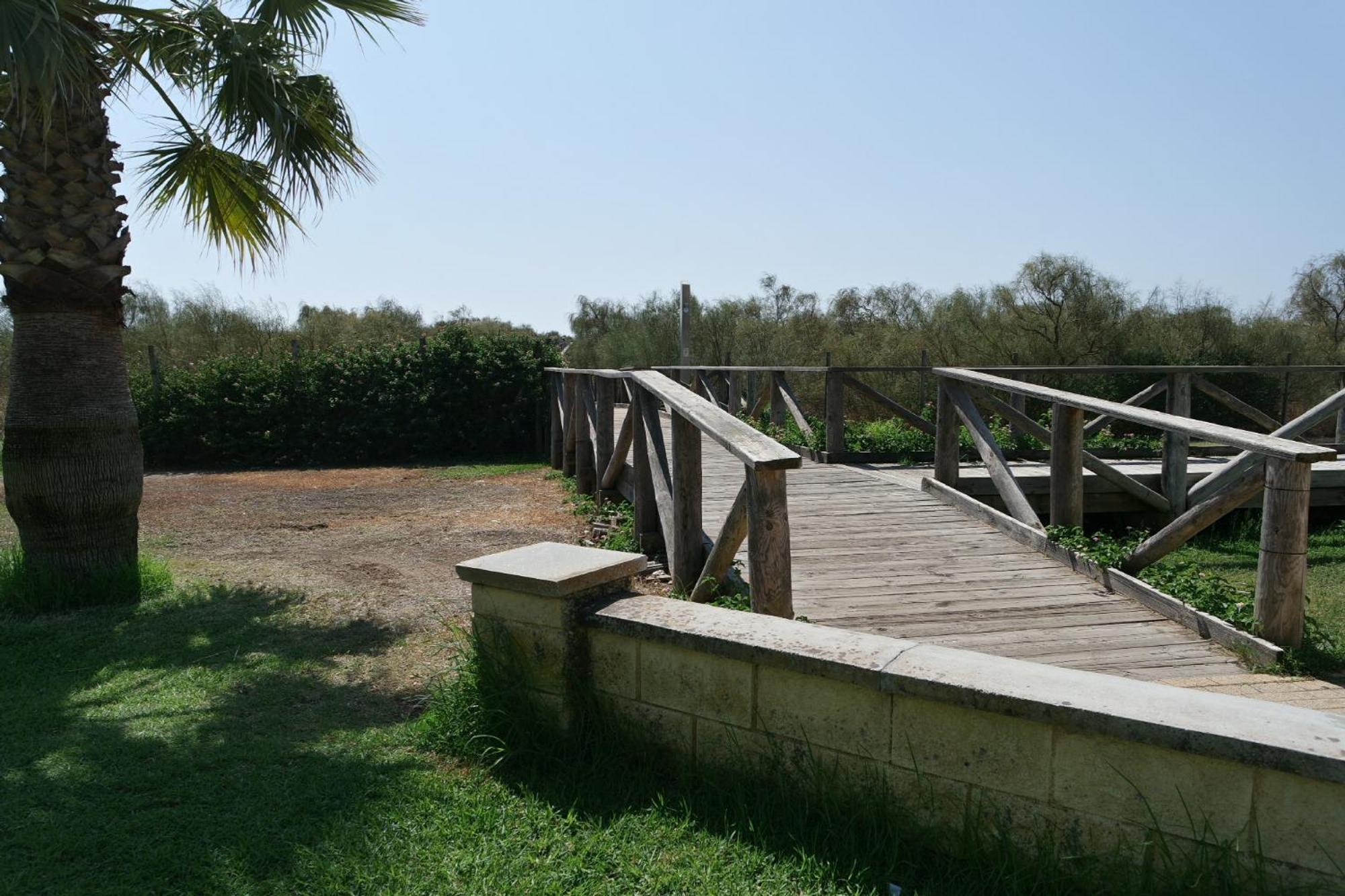 Photo 32