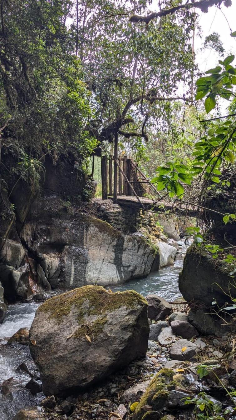 EcoLodge Mayu Camping