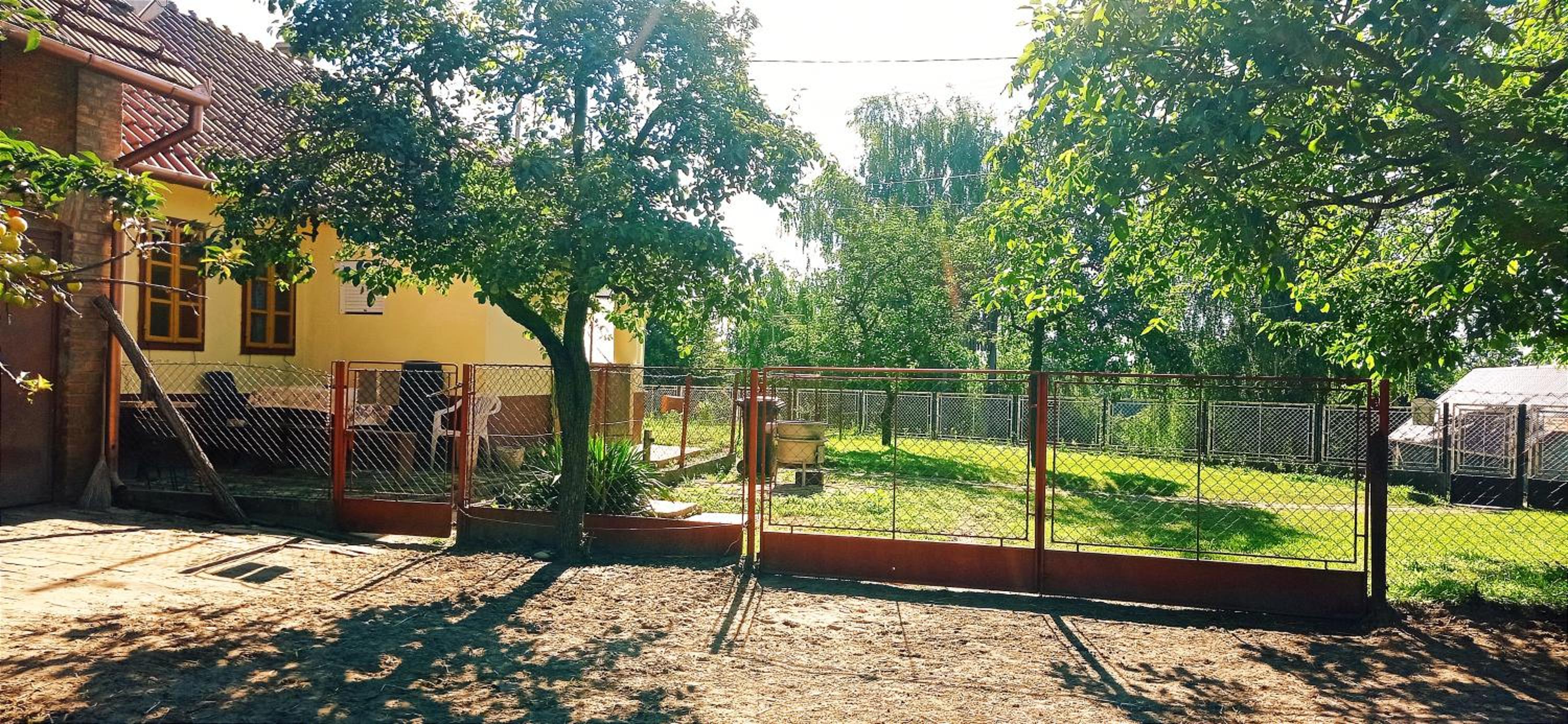 Póni Kuckó Vendégház és Minifarm view 4