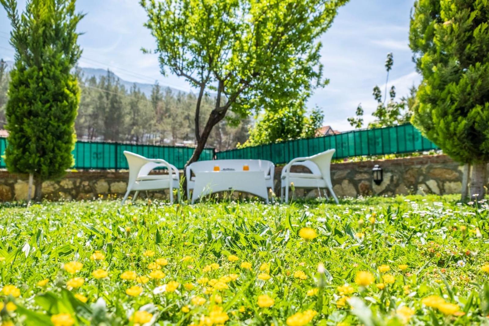 villa doğa