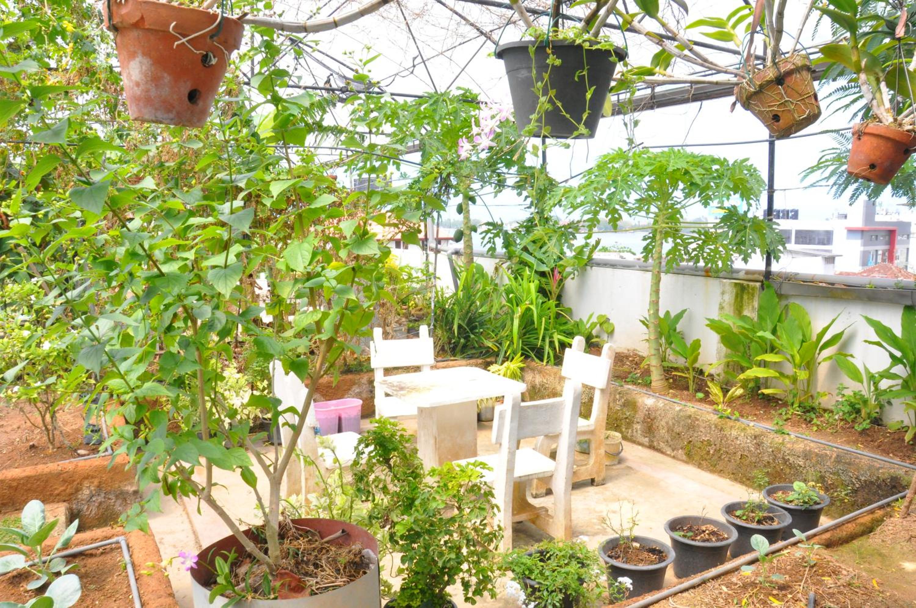 roof