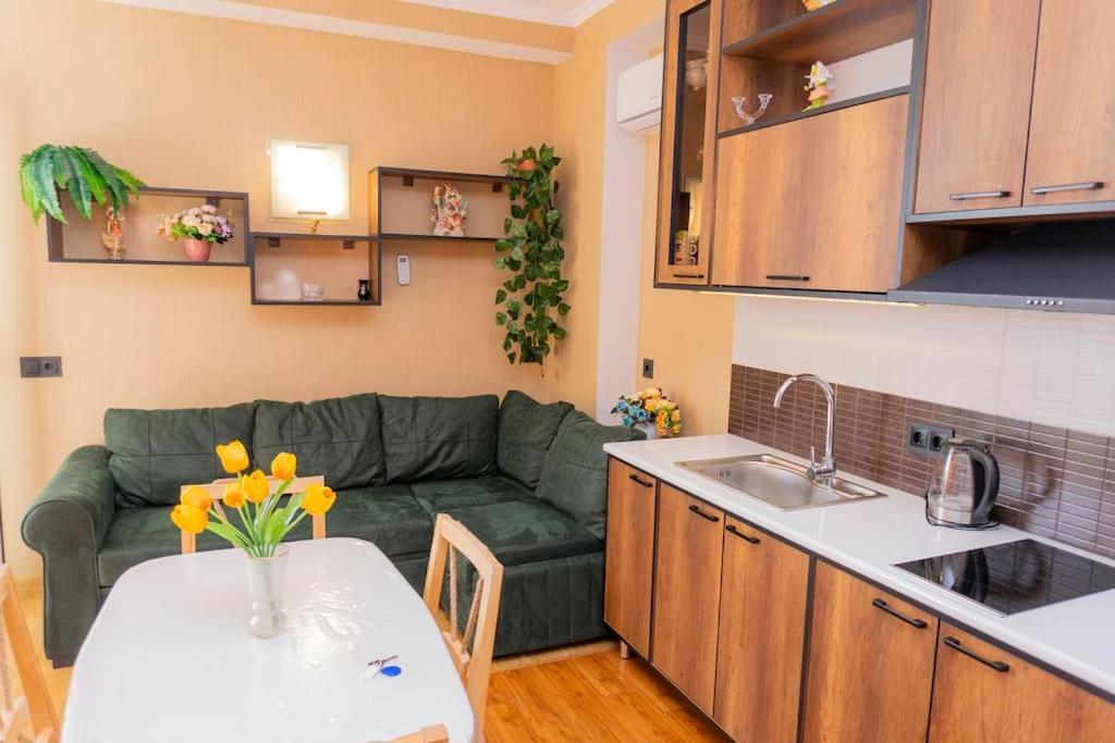 Cozy apartment with a large balcony and city view view 3