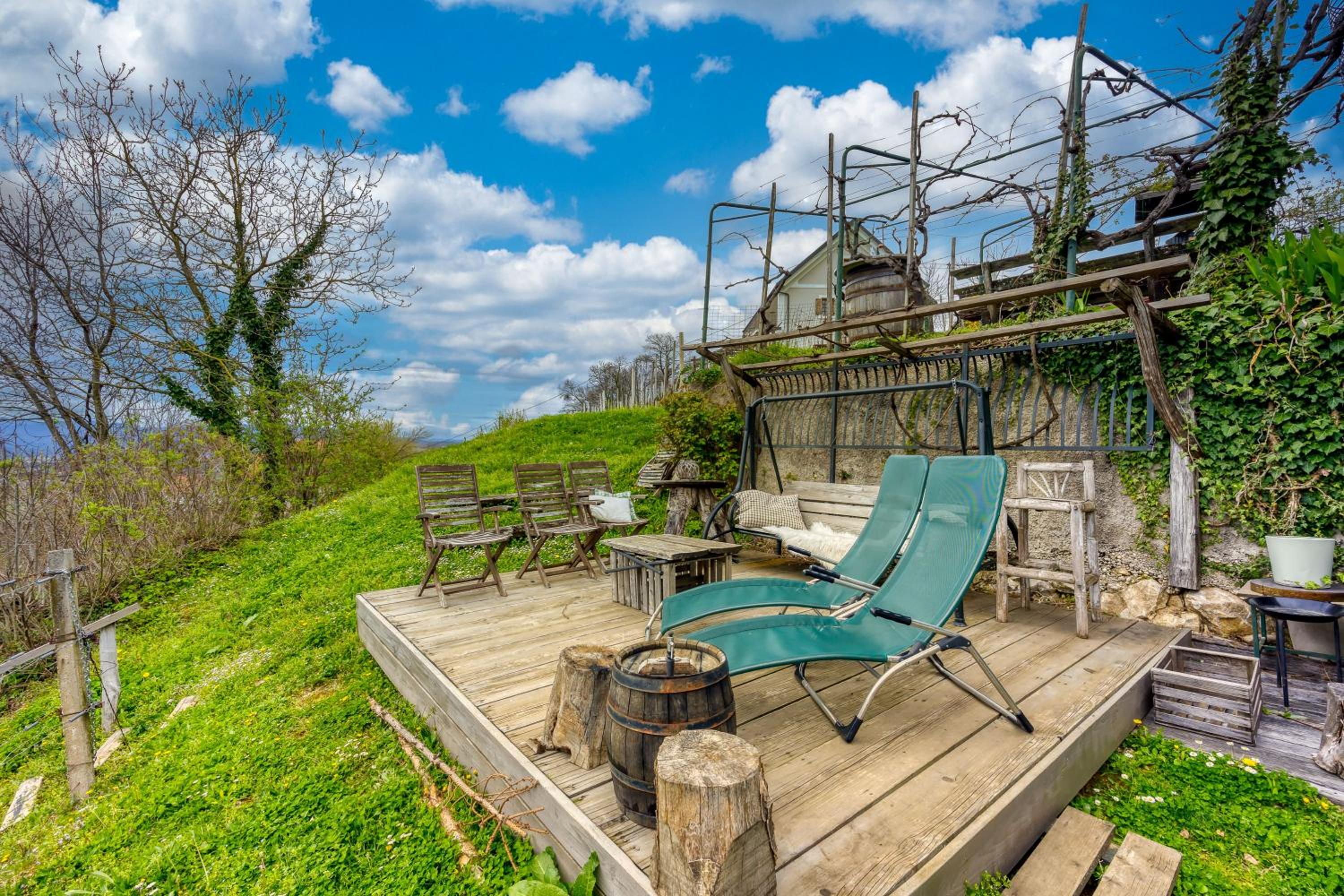 Vineyard Cottage Verček - Happy Rentals