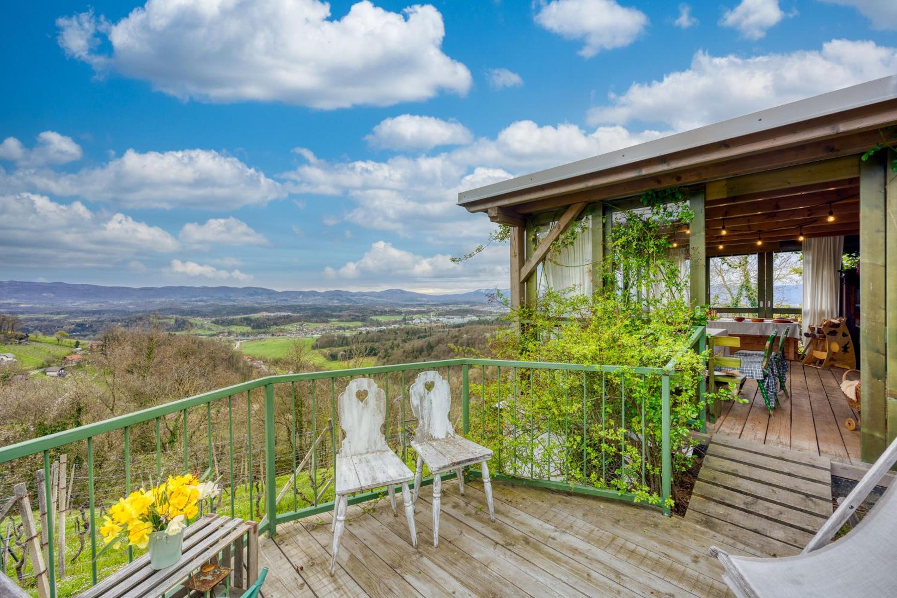 Vineyard Cottage Verček - Happy Rentals