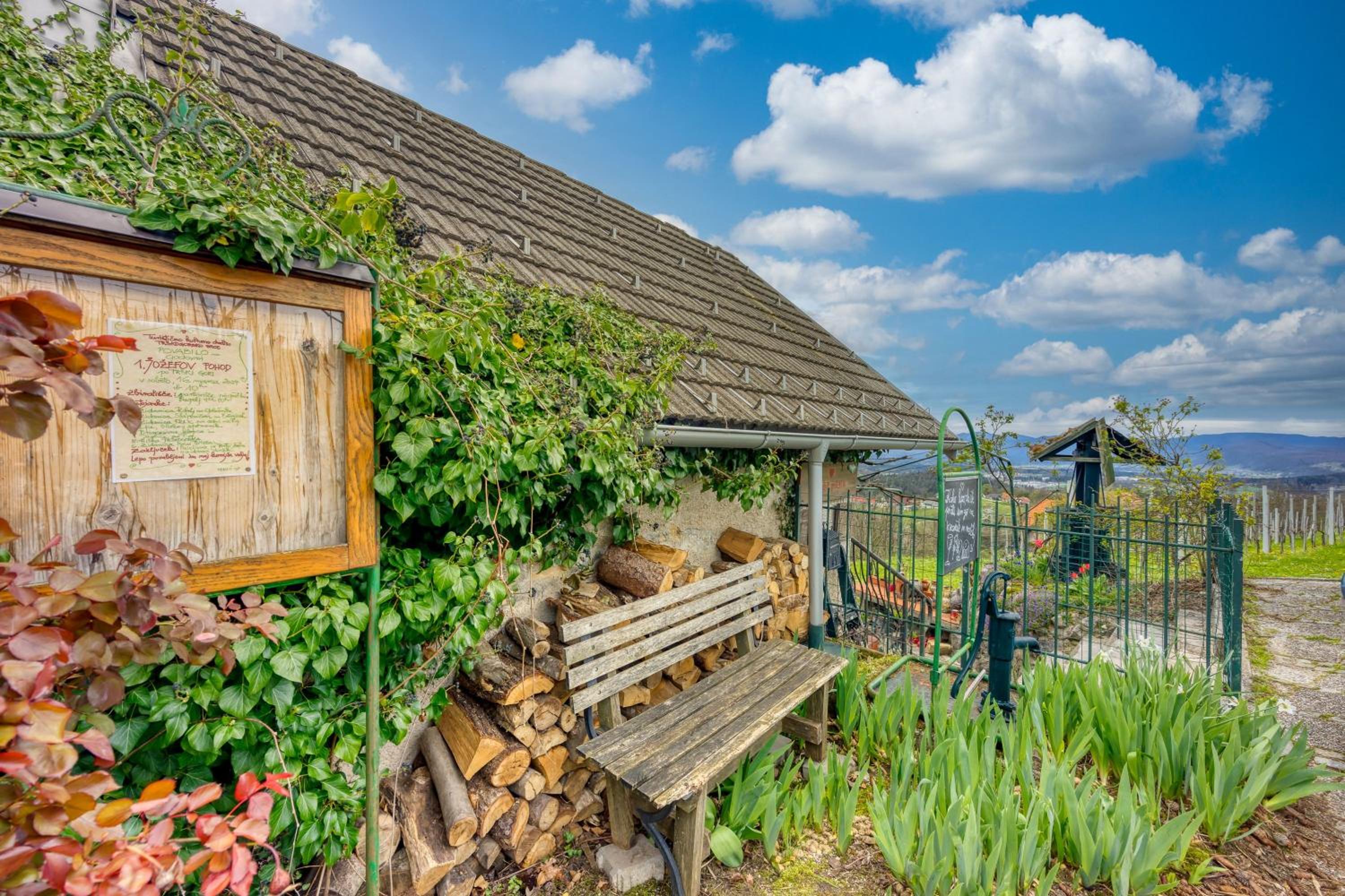 Vineyard Cottage Verček - Happy Rentals