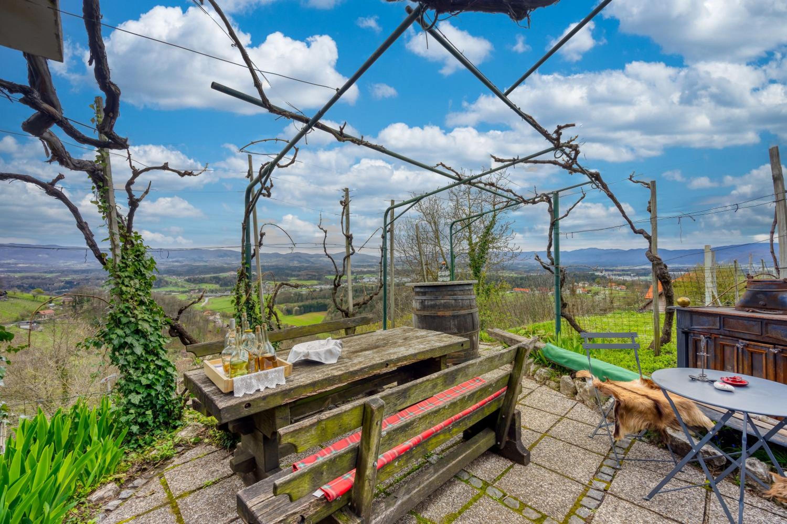 Vineyard Cottage Verček - Happy Rentals