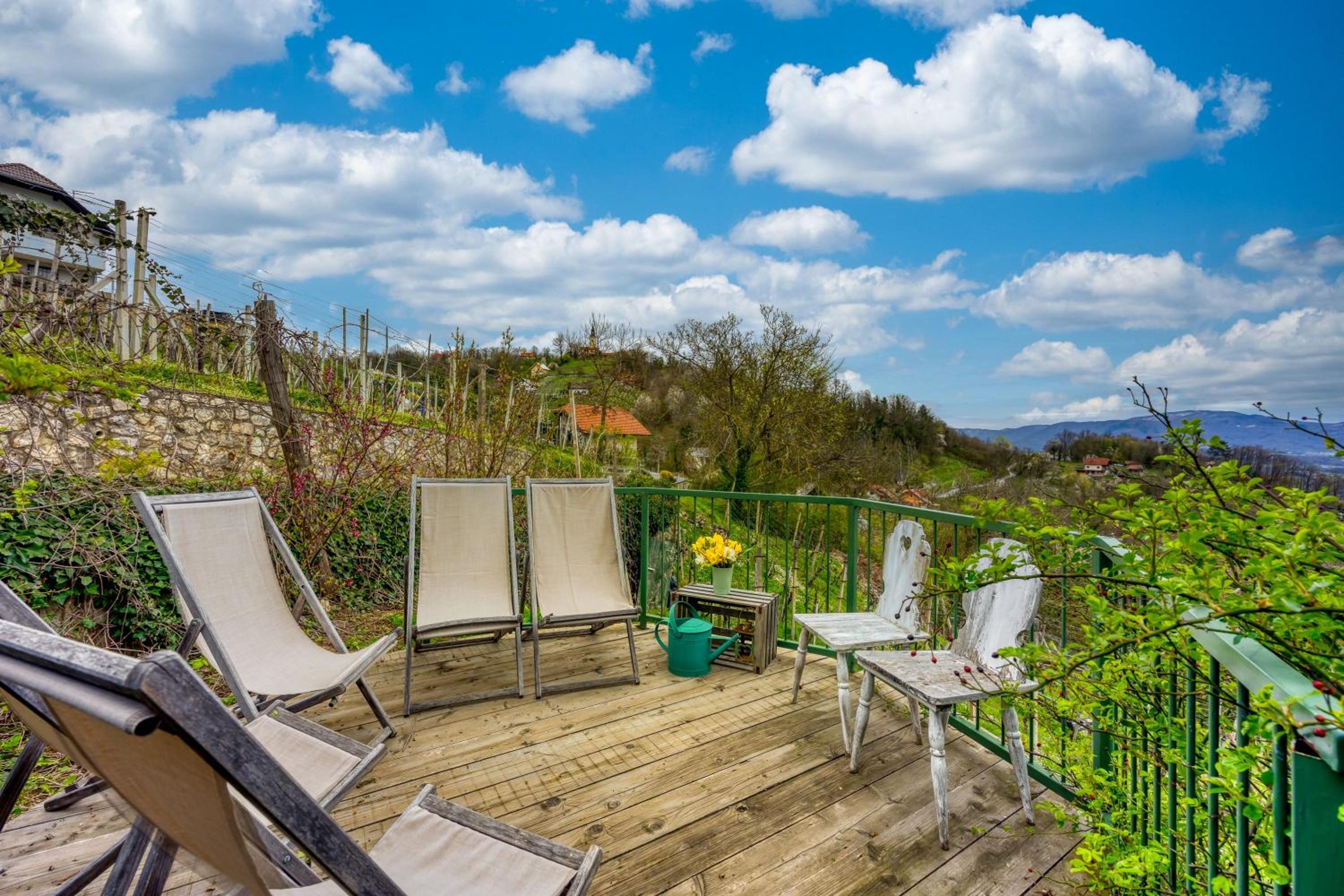 Vineyard Cottage Verček - Happy Rentals