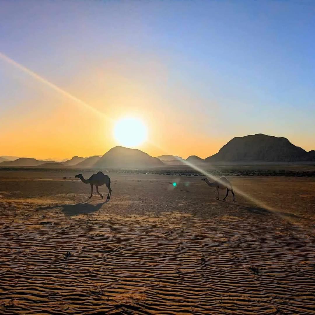 Areen camp, Wadi Rum view 2