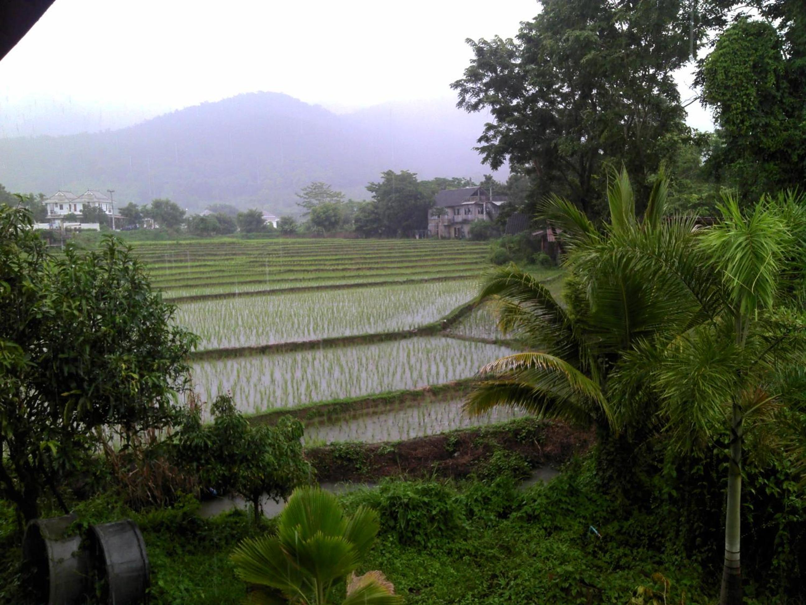 Ing Doi Guest House