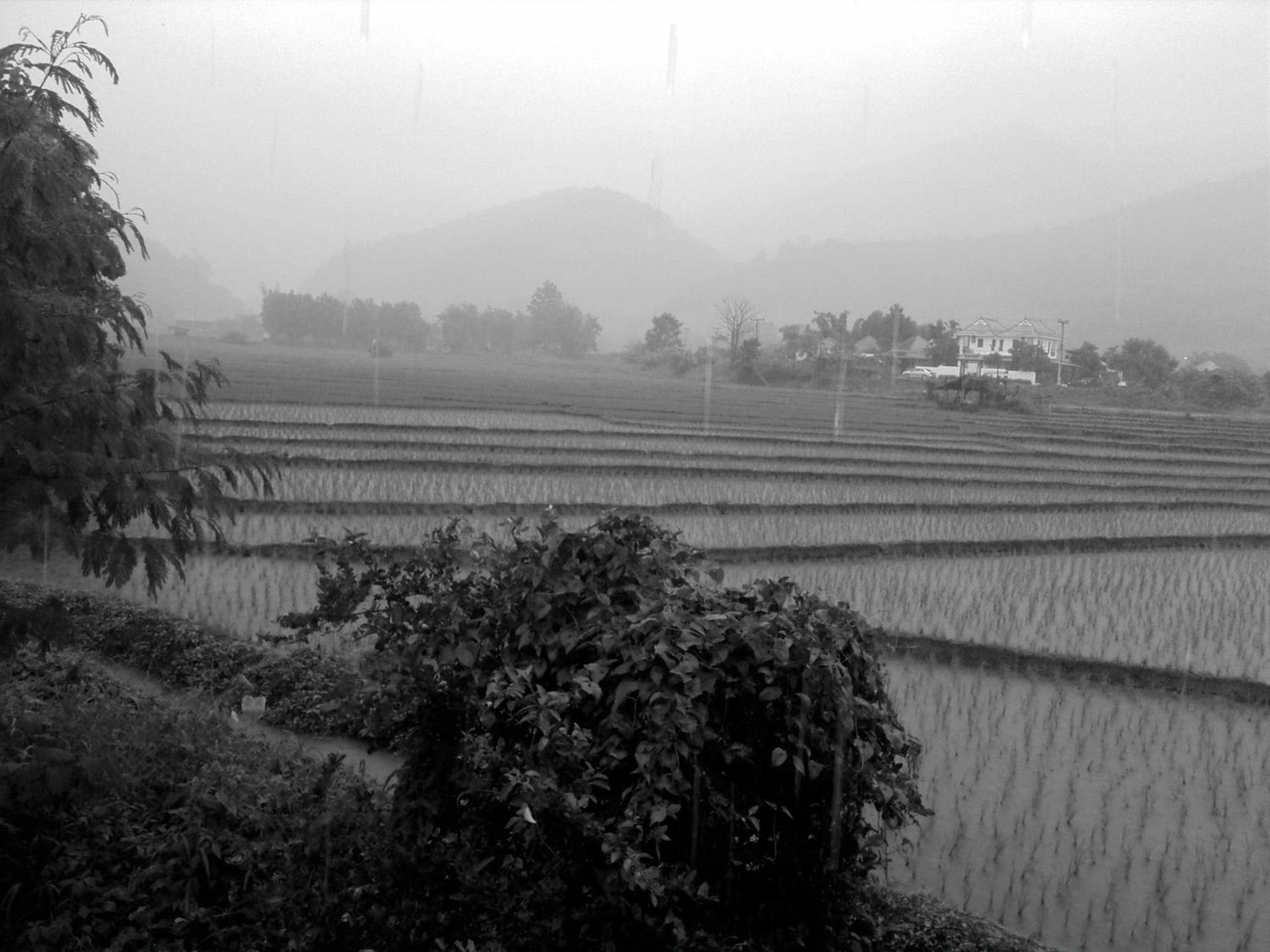Ing Doi Guest House