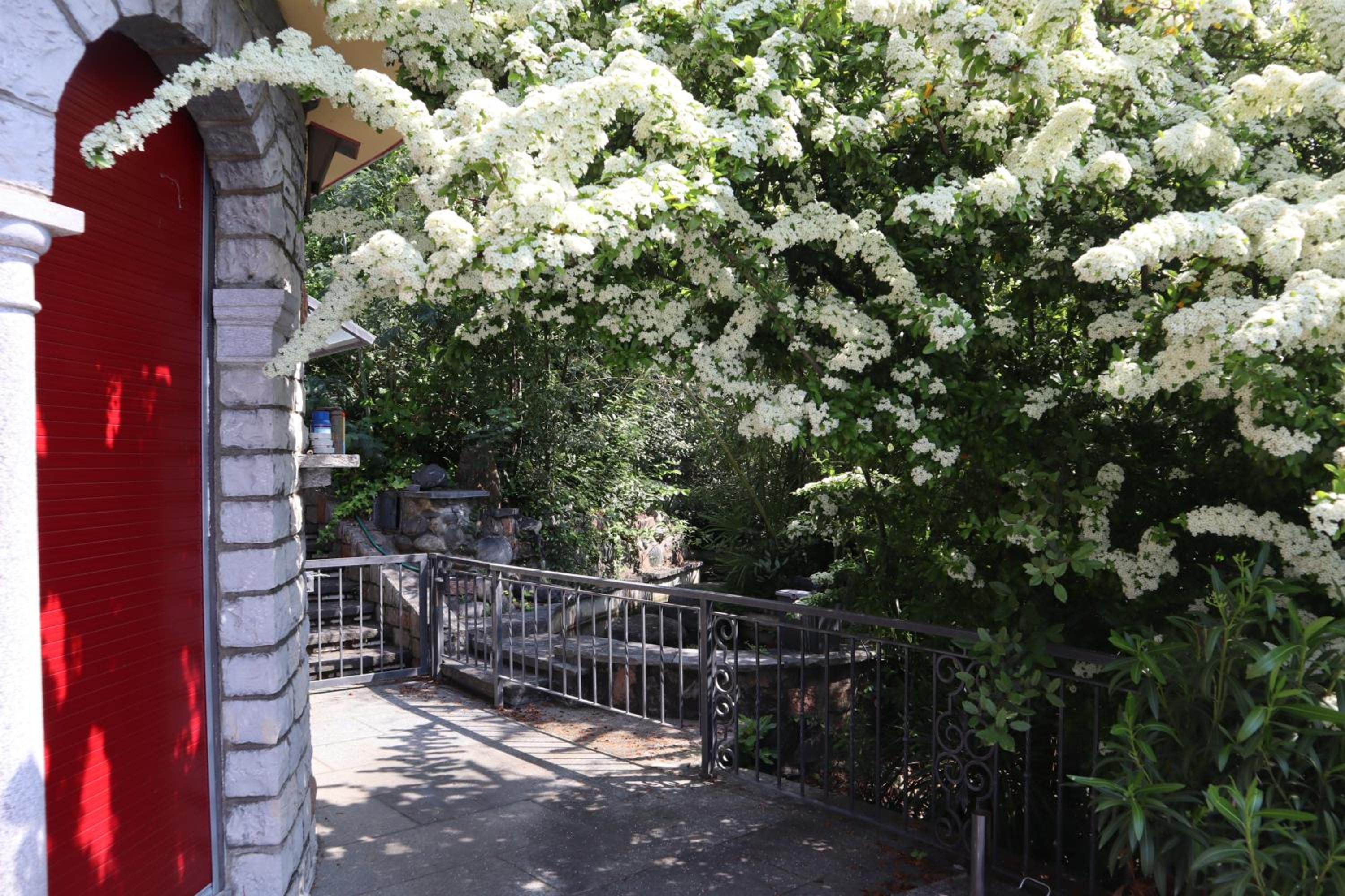 Barony romantic villa