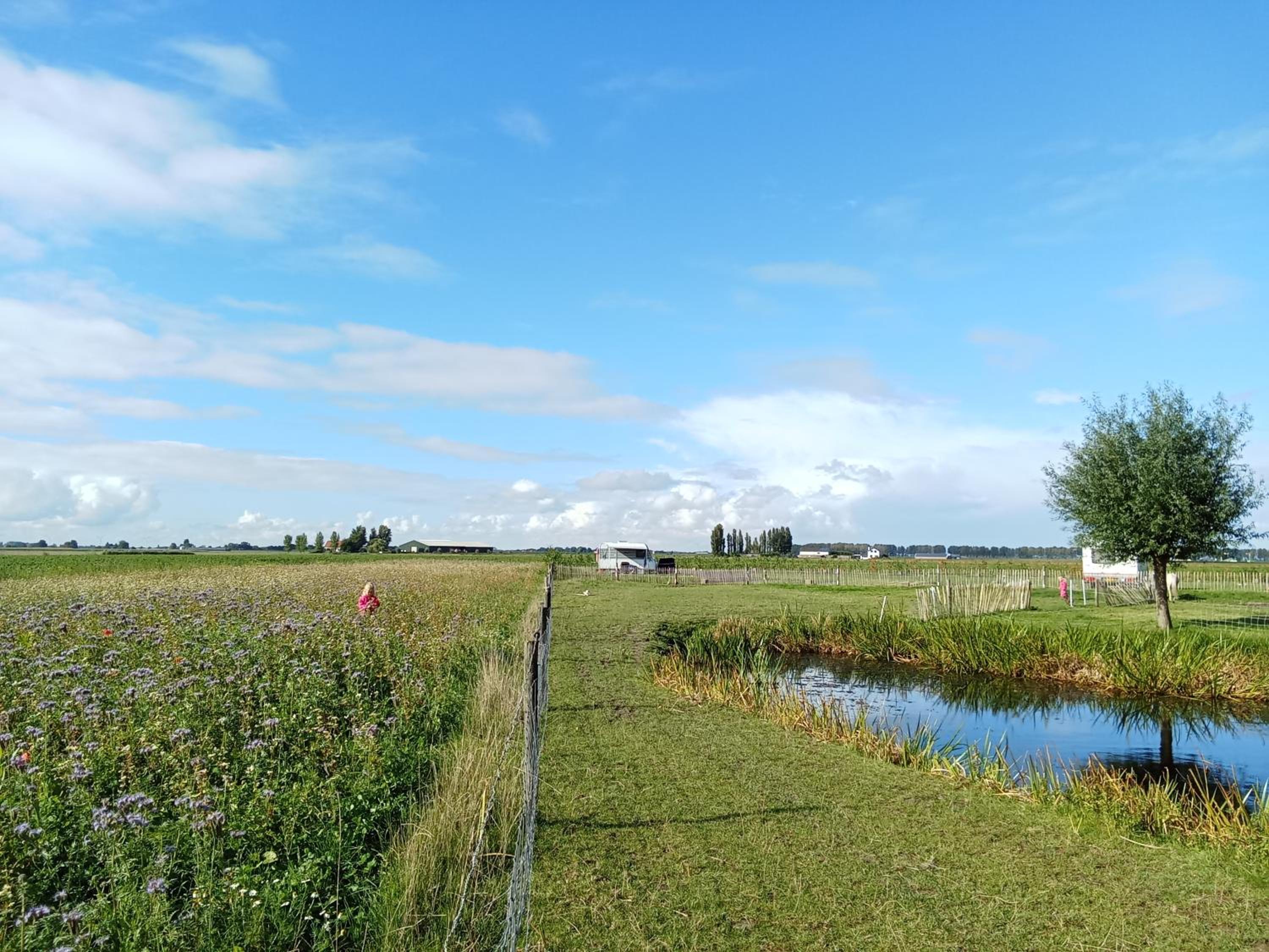 Pipowagen boerderij de schans