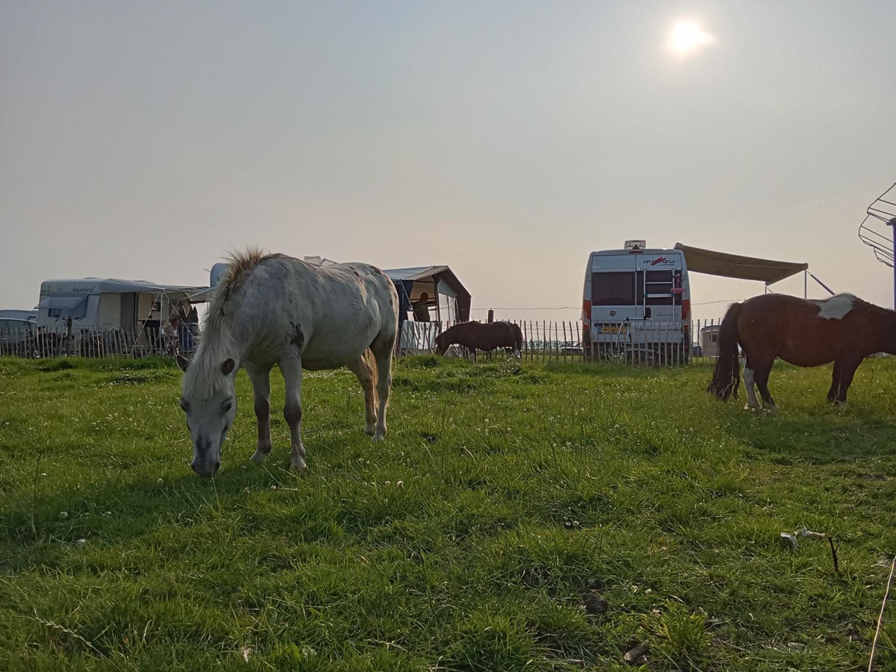Pipowagen boerderij de schans