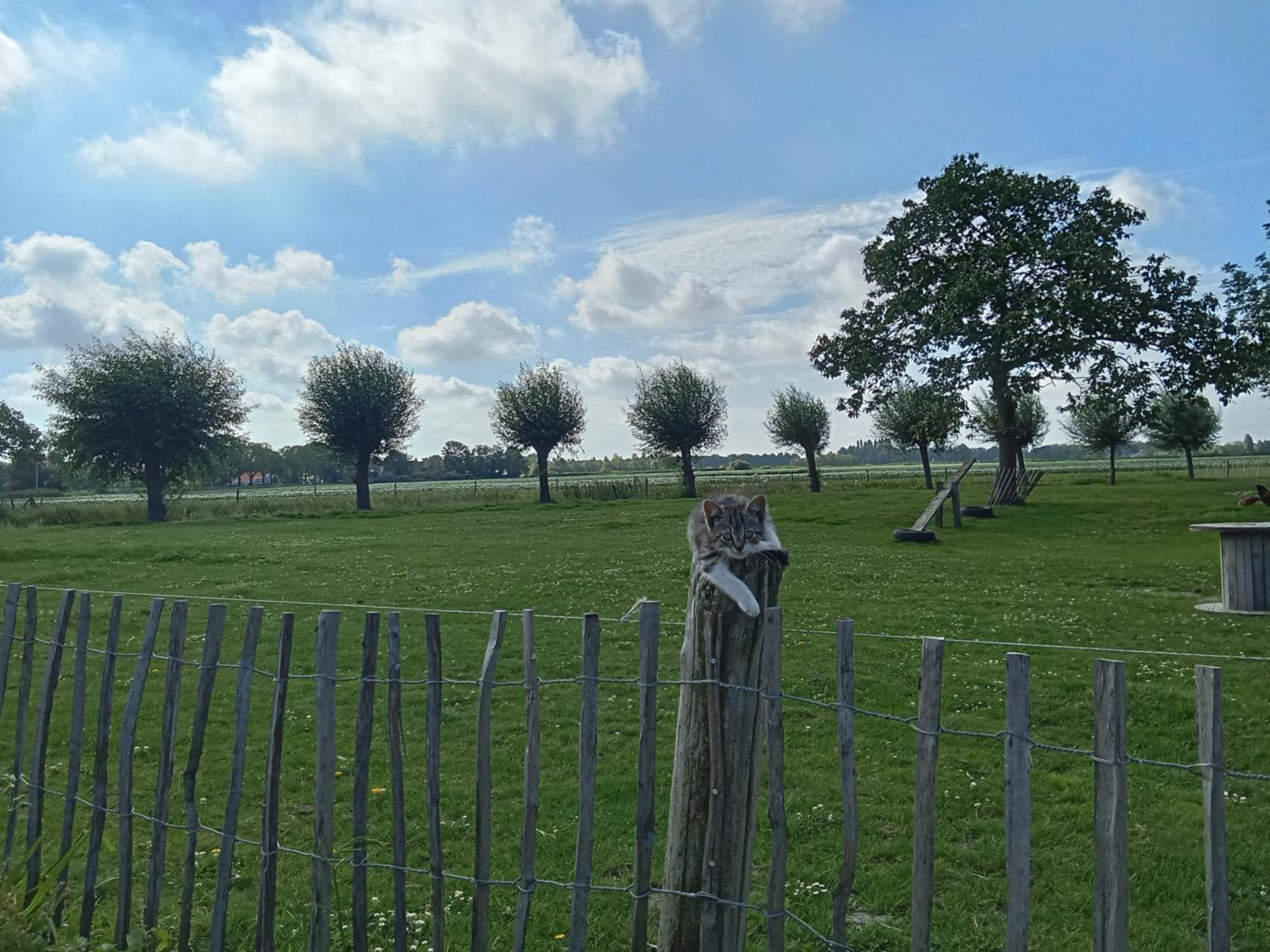 Pipowagen boerderij de schans