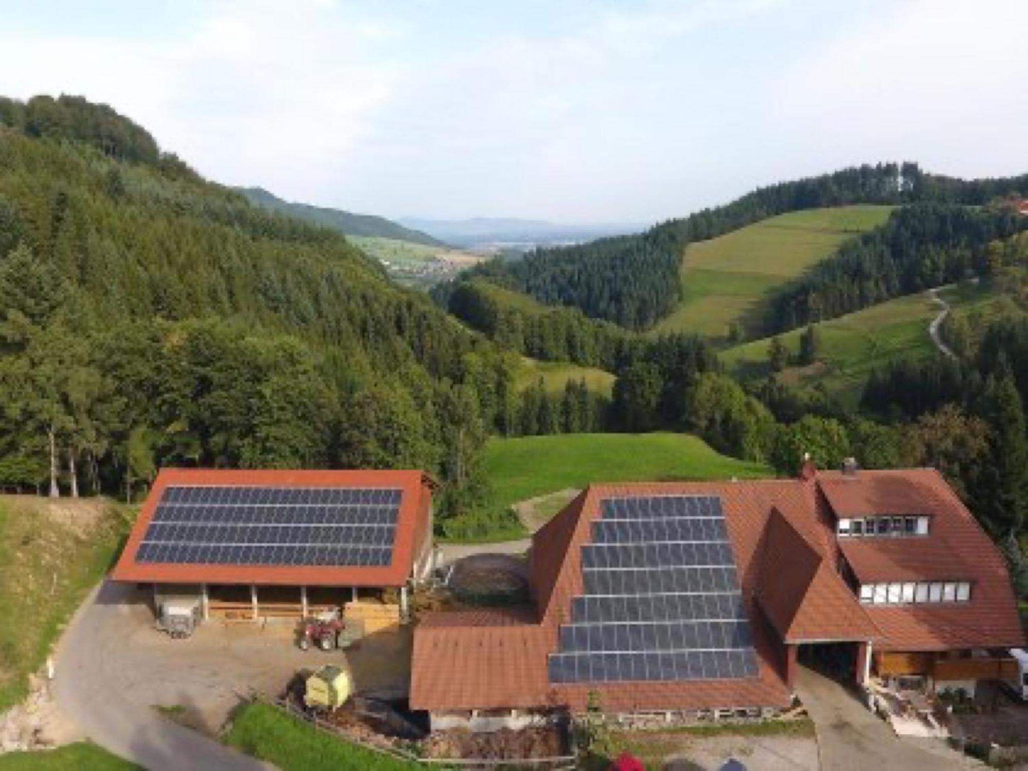 Ringlihof