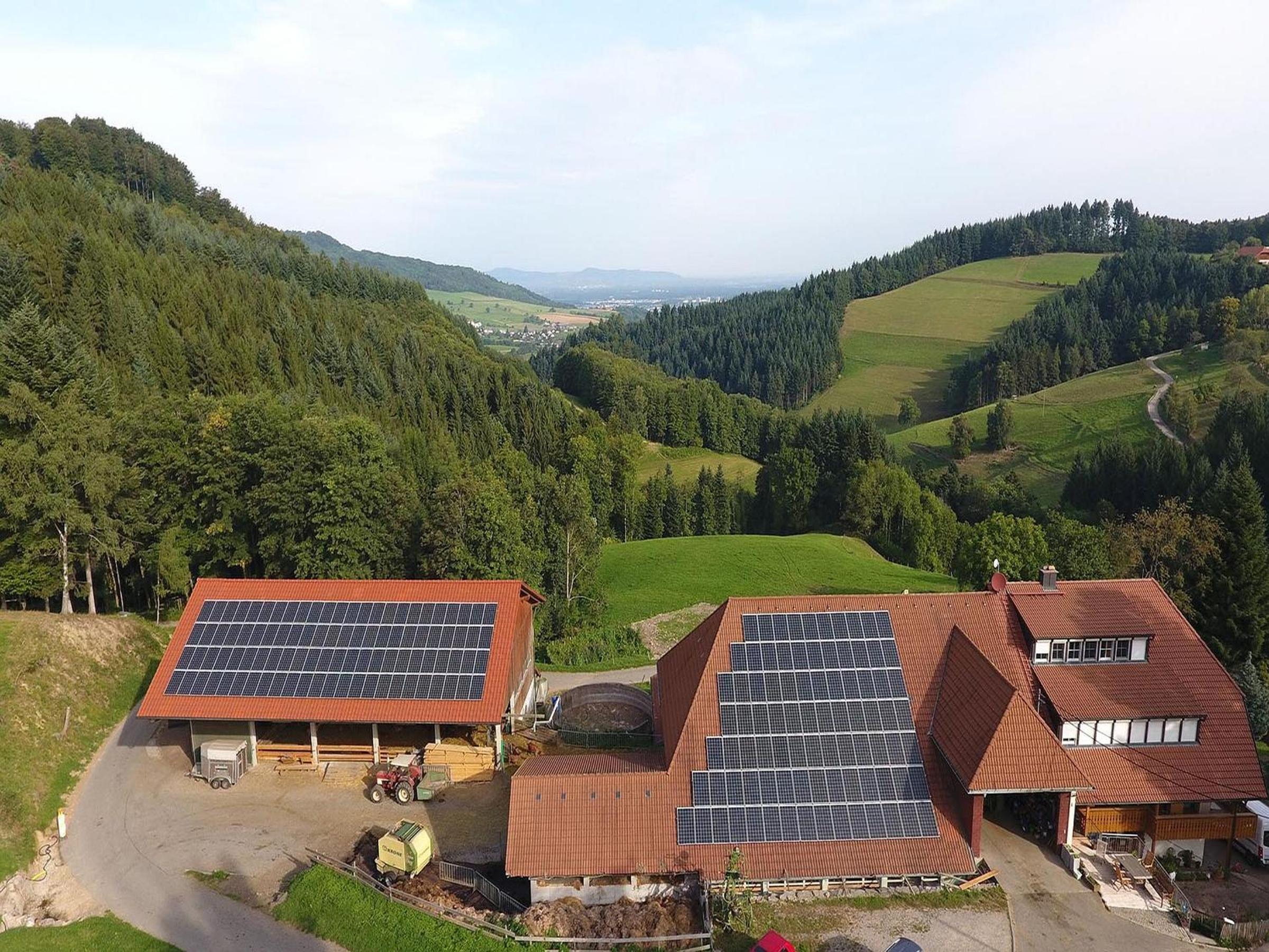 Ringlihof