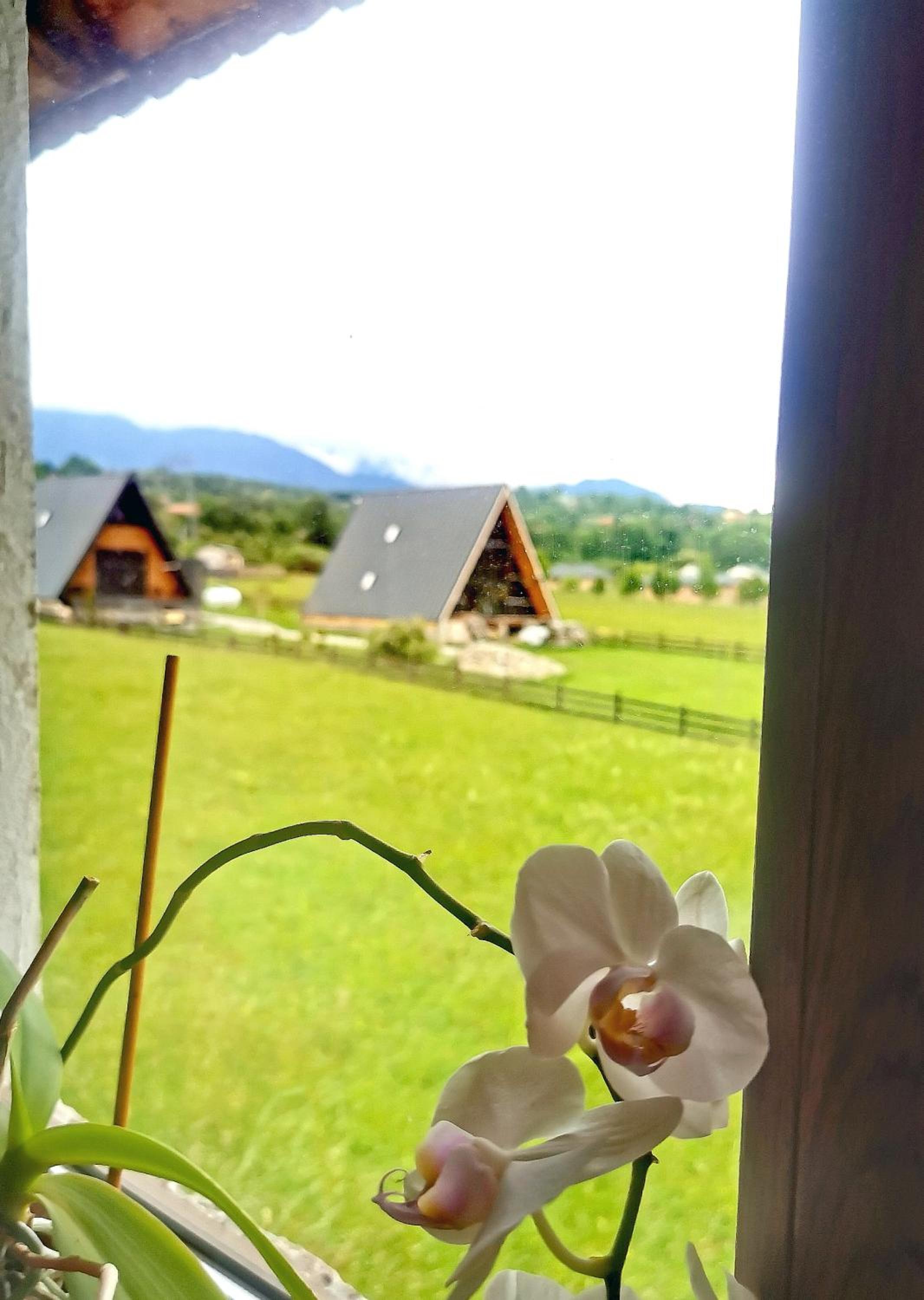 Cazare Haiducita Bran