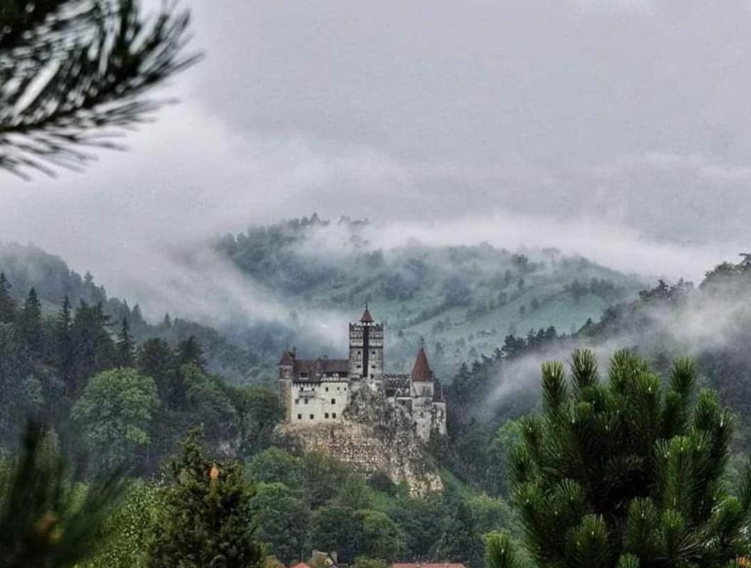 Cazare Haiducita Bran