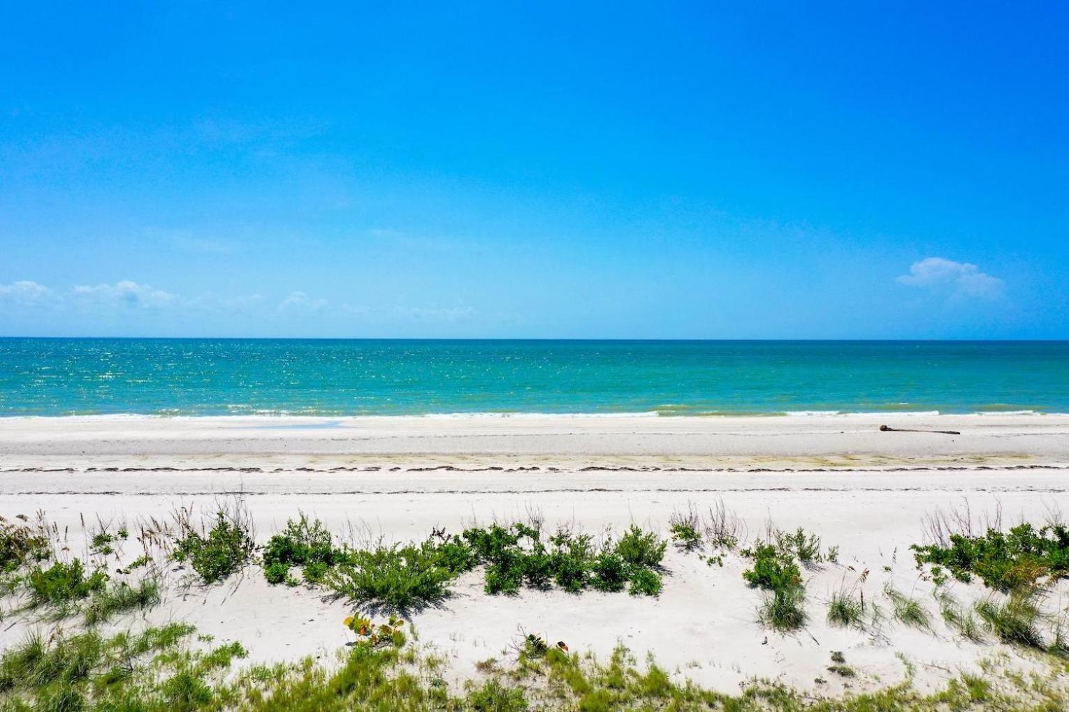 Sanddollar #C104 view 5