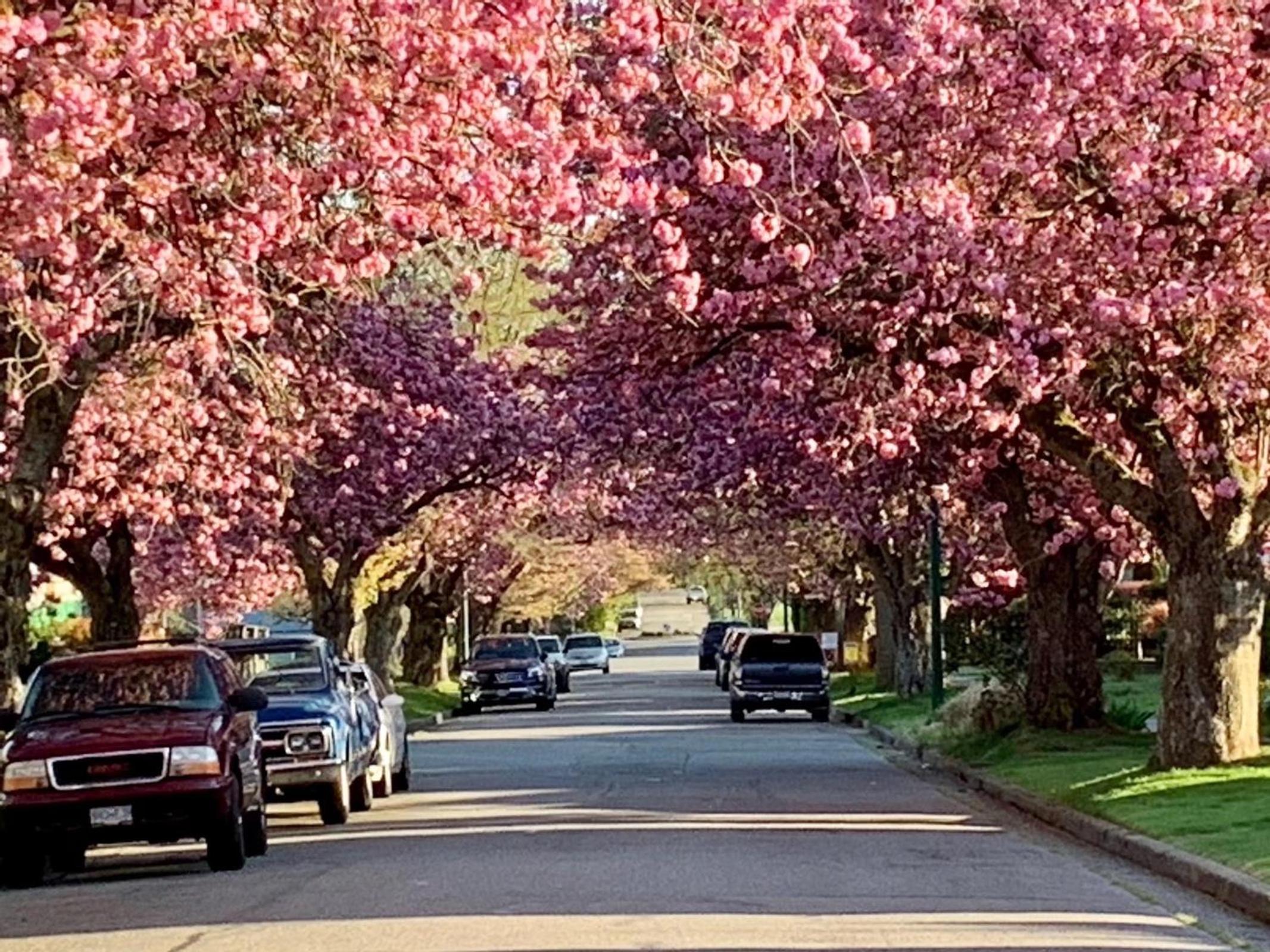 Scorpio House Langley - Semi-basement Suite