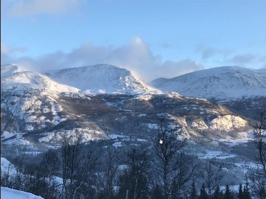 Ledig vinterferien er en stor ski in out leilighet med panoramautsikt over Hemsedal view 5