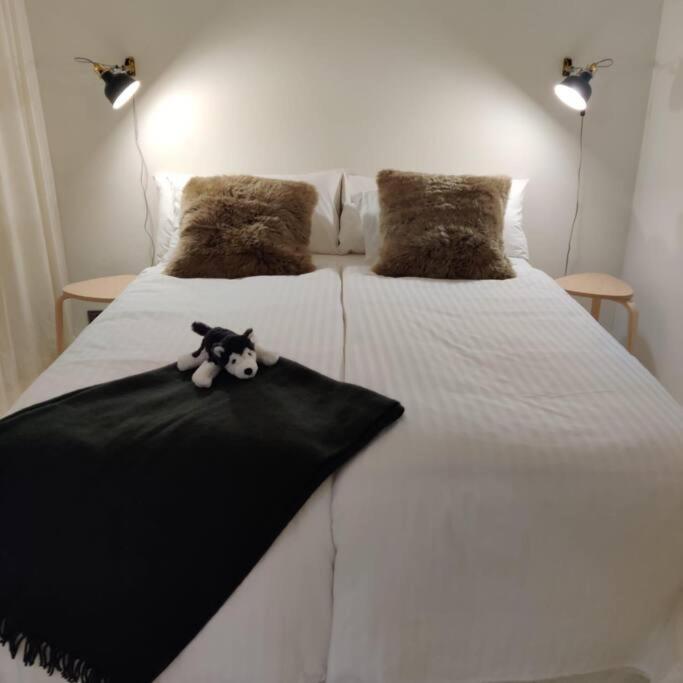 Polar Luxury Suite