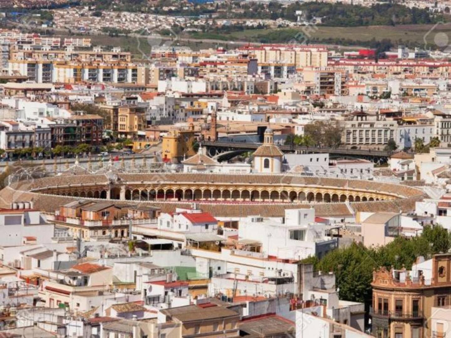 Pure Seville elegance and confort