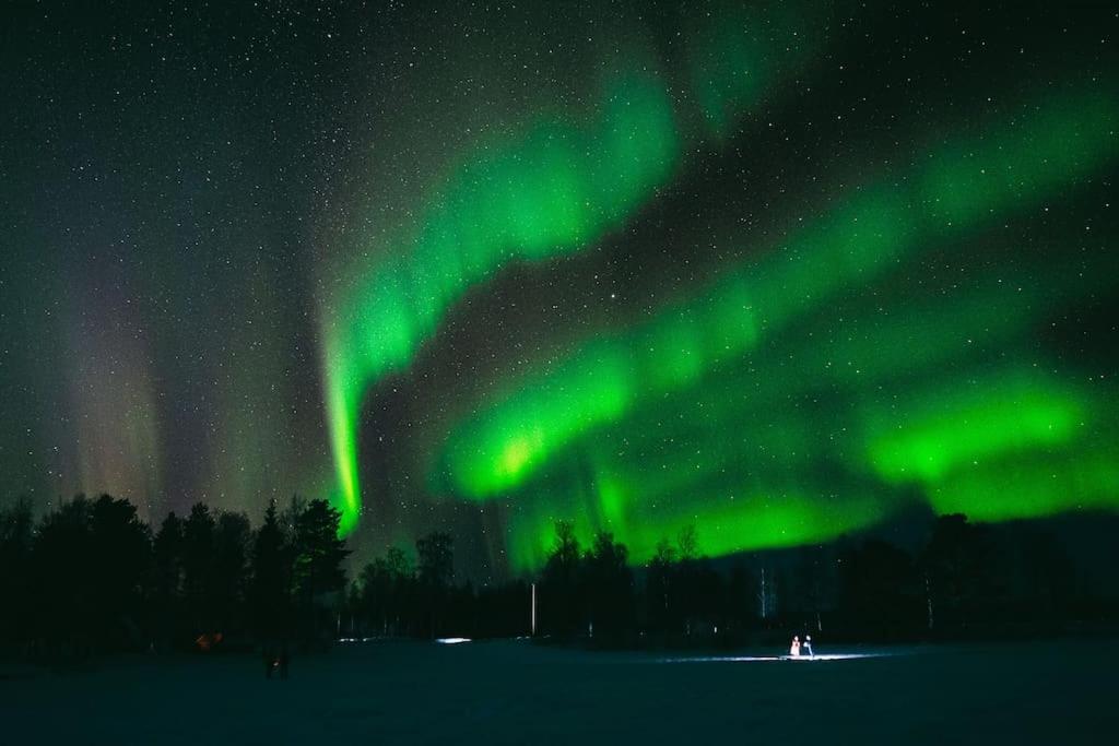 Polar Night Shelter