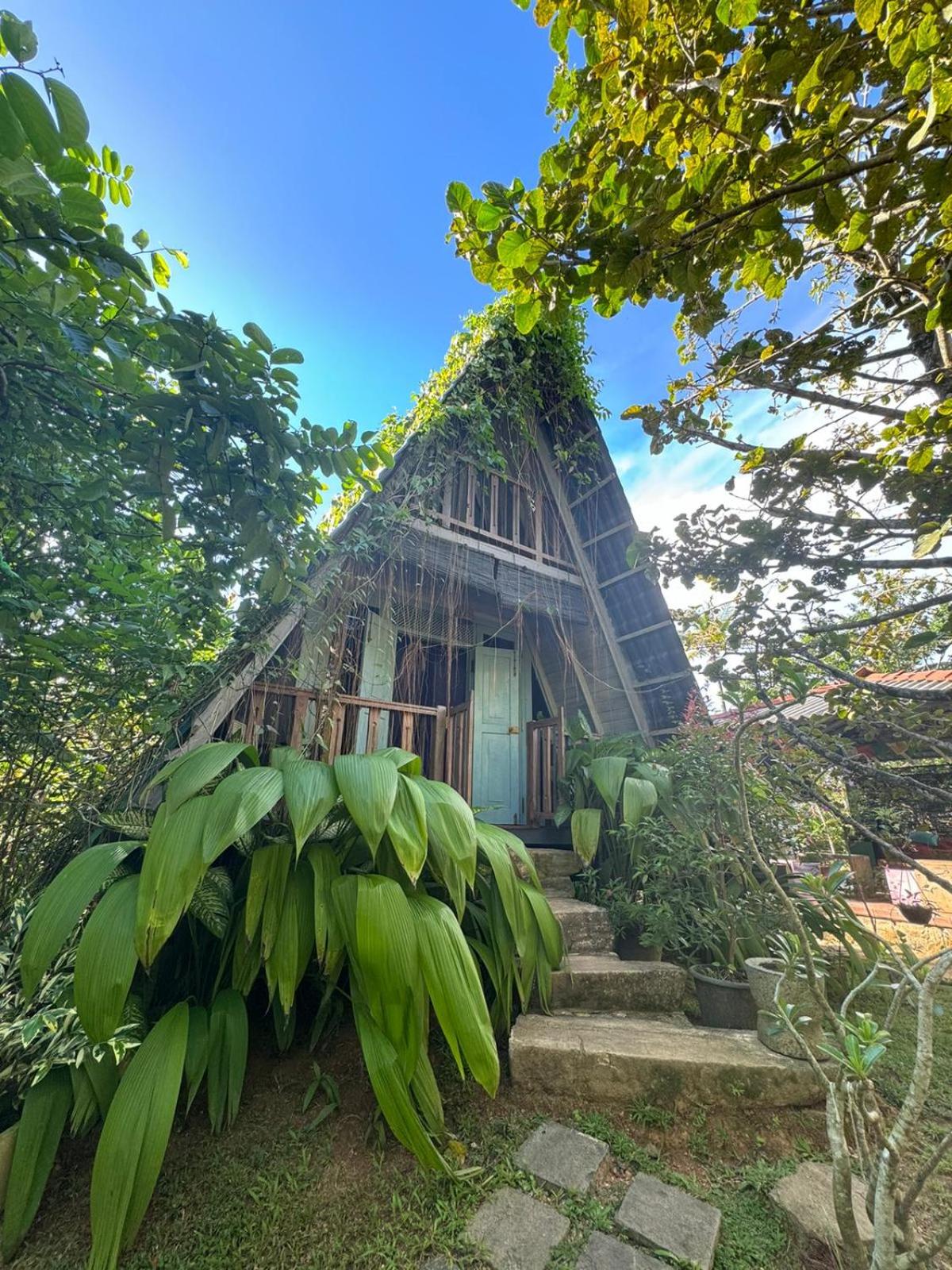 villa ovita view 2
