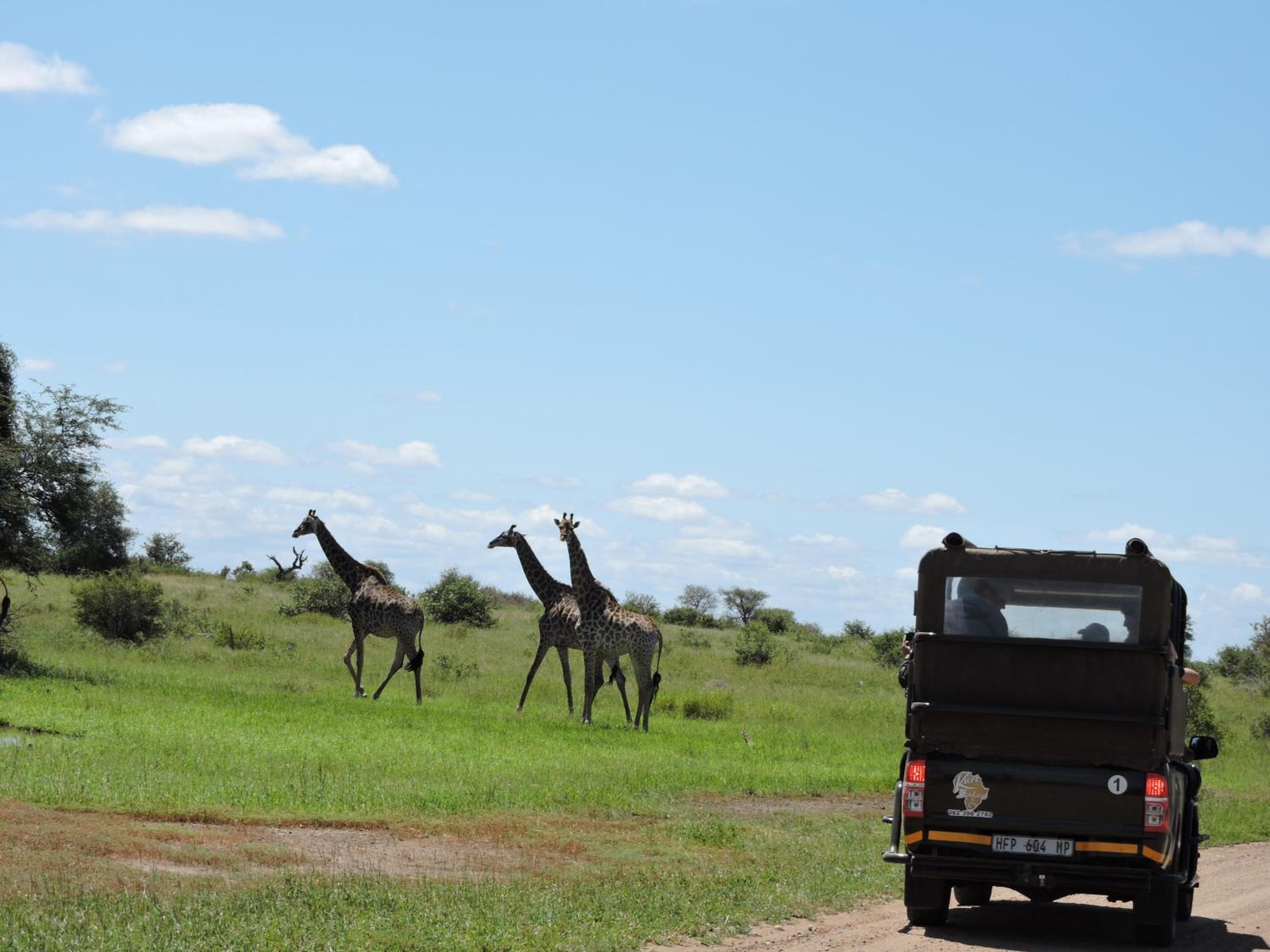 B&B African Rock Lodge