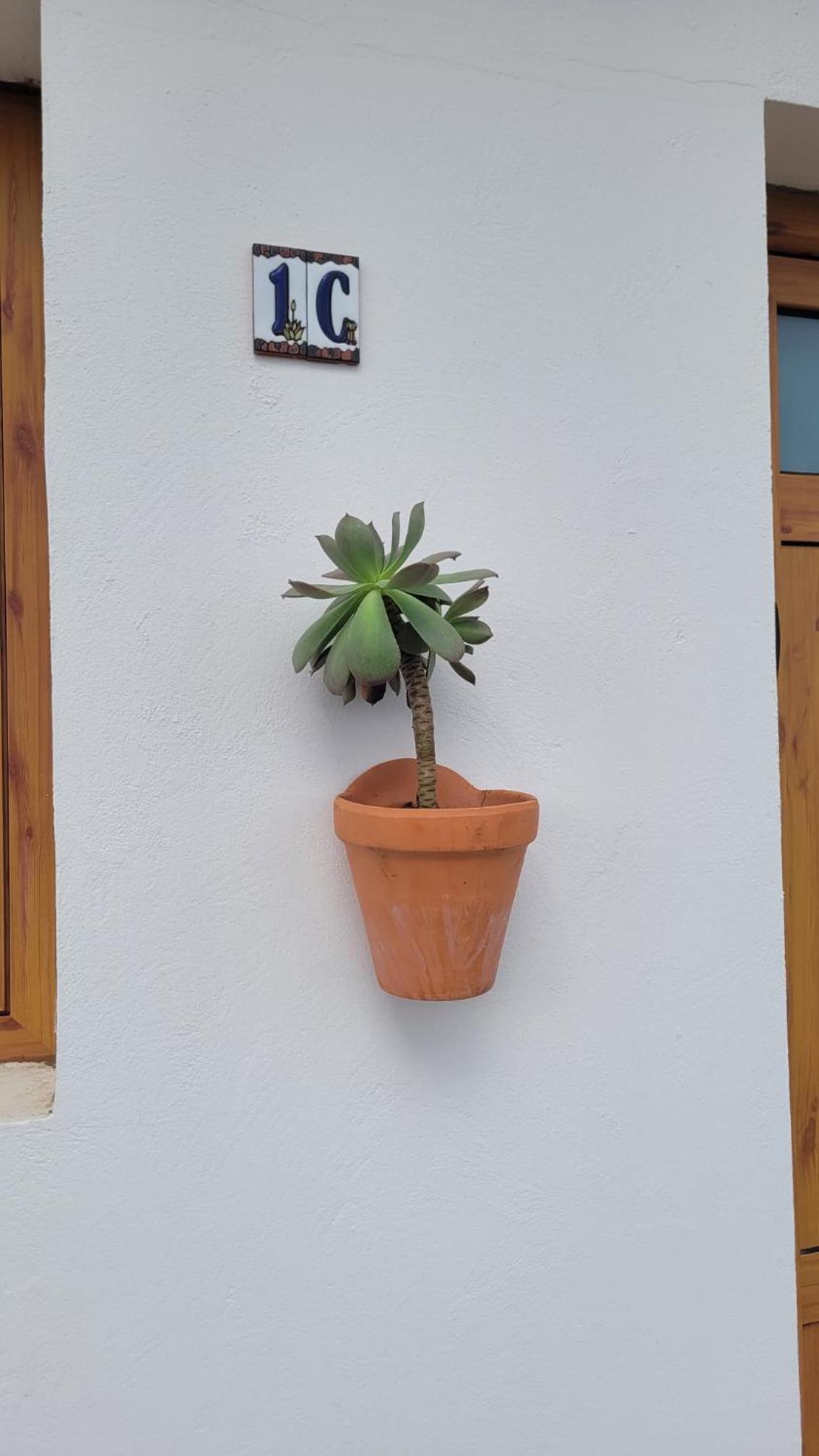 La Casita del Tito Carlos view 5