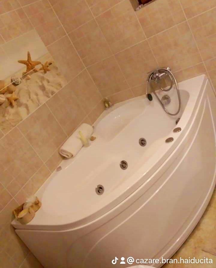 Cazare Haiducita Bran