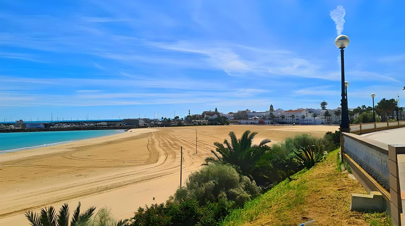 Girasoles Rota by Staycare
