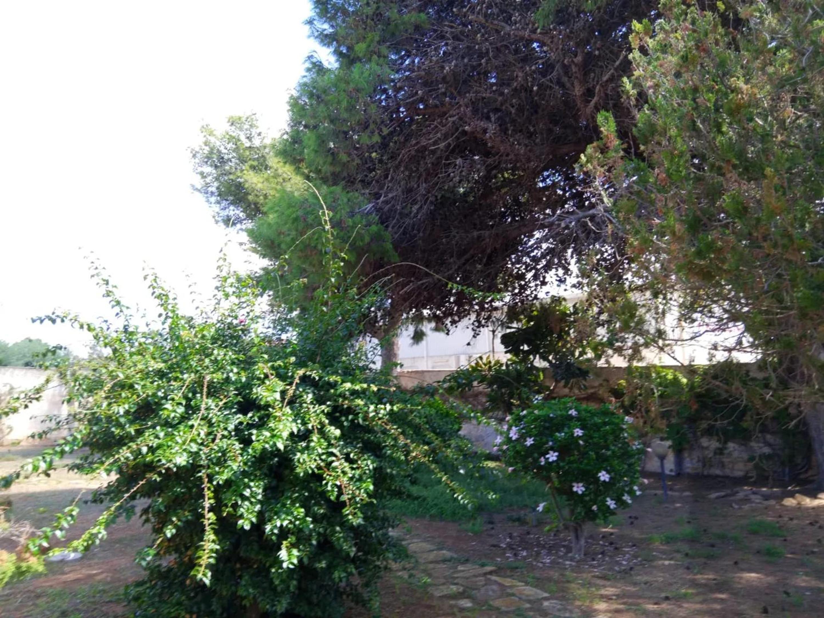 Photo 31