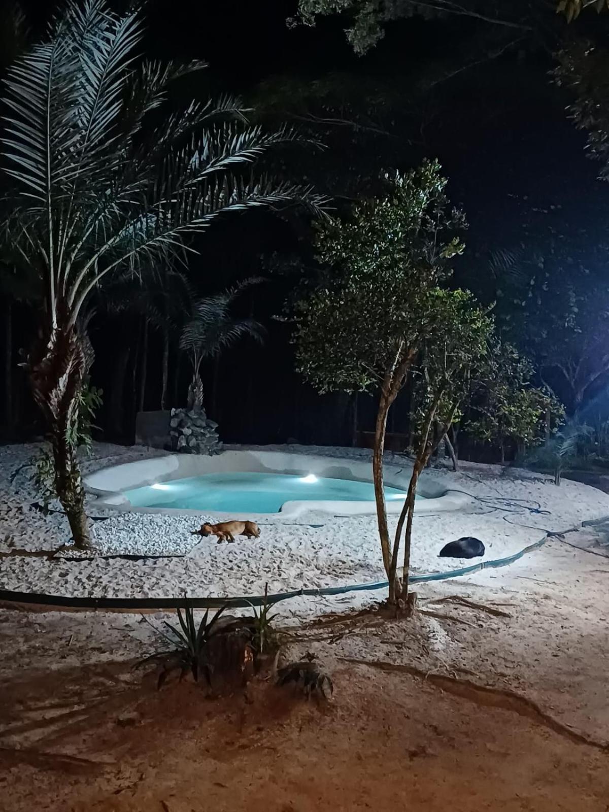 RECANTO DO SENTIR, conexão com a natureza e muita paz.