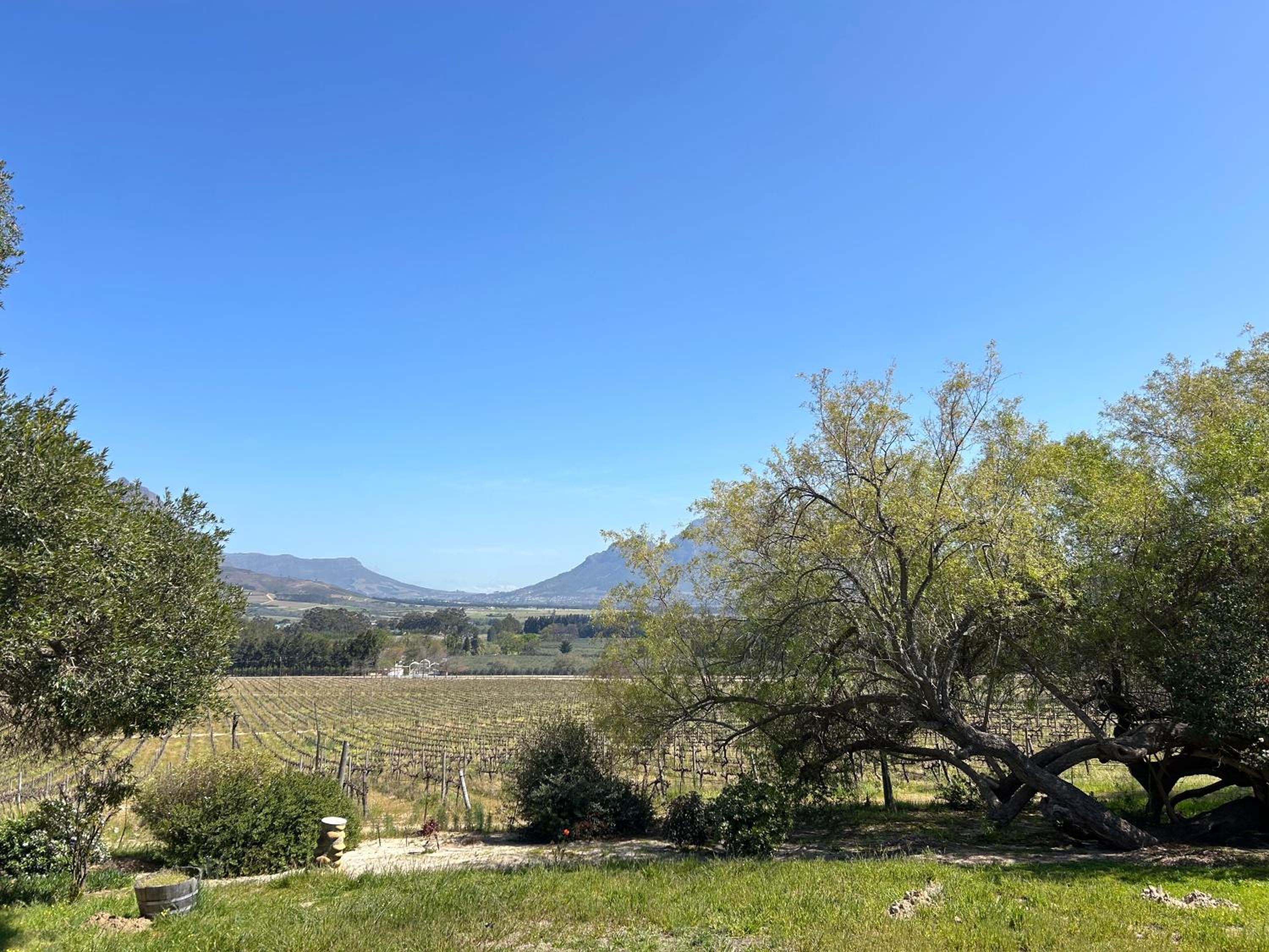 Topiary Wine Estate & Cottages