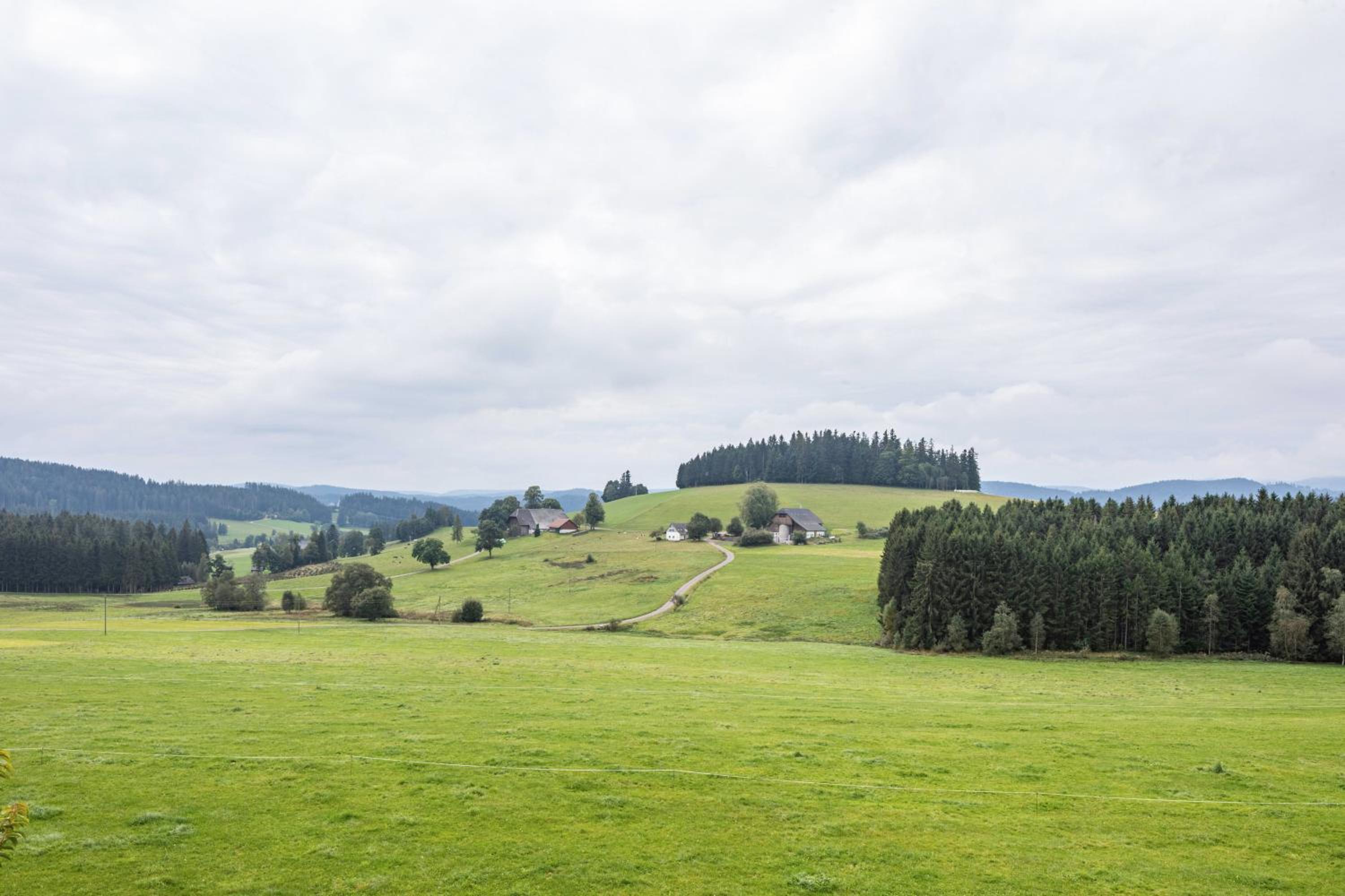 Haldenmichelhof Ferienwohnungen