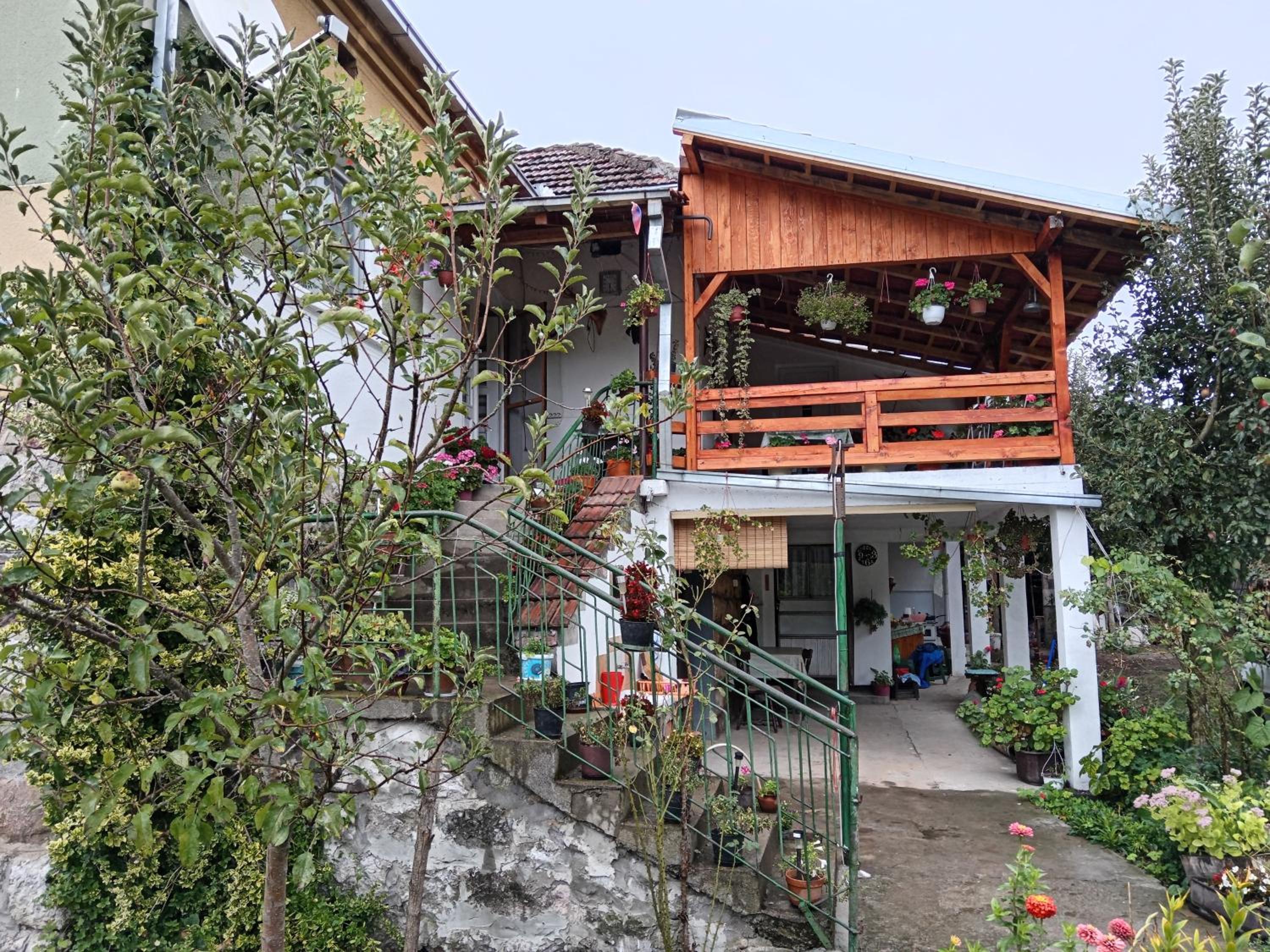 STD Verice Đorđević view 3