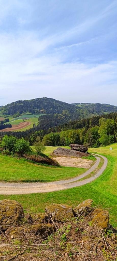 Erlebnishof Steinkellnergut