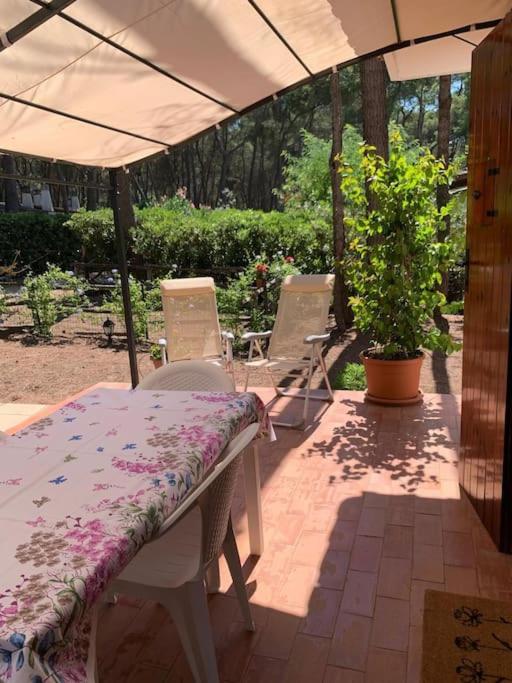 Chalet Felicita con giardino Immerso nel bosco photo 2