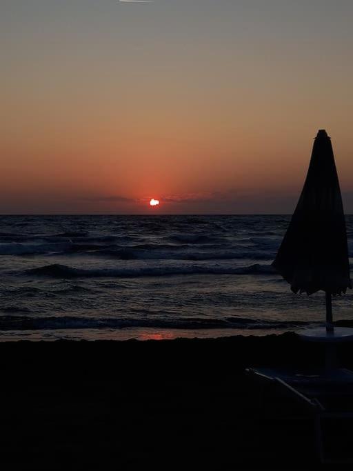 Chalet Felicita con giardino Immerso nel bosco photo 4