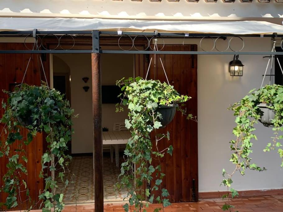 Chalet Felicita con giardino Immerso nel bosco photo 5