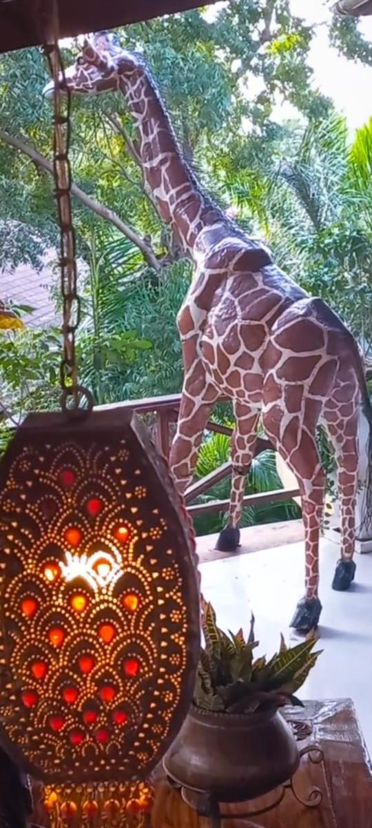 African House Resort