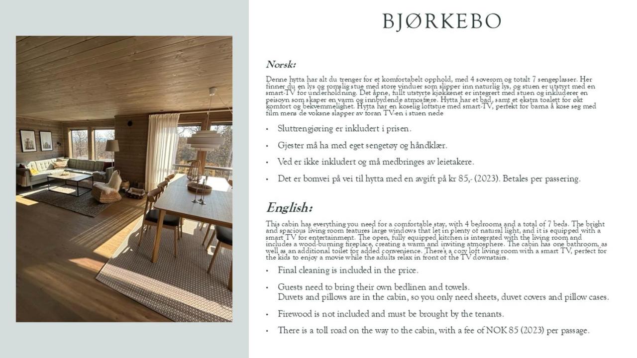 Bjørkebo in Ål - cabin in hiking and skiing area view 5