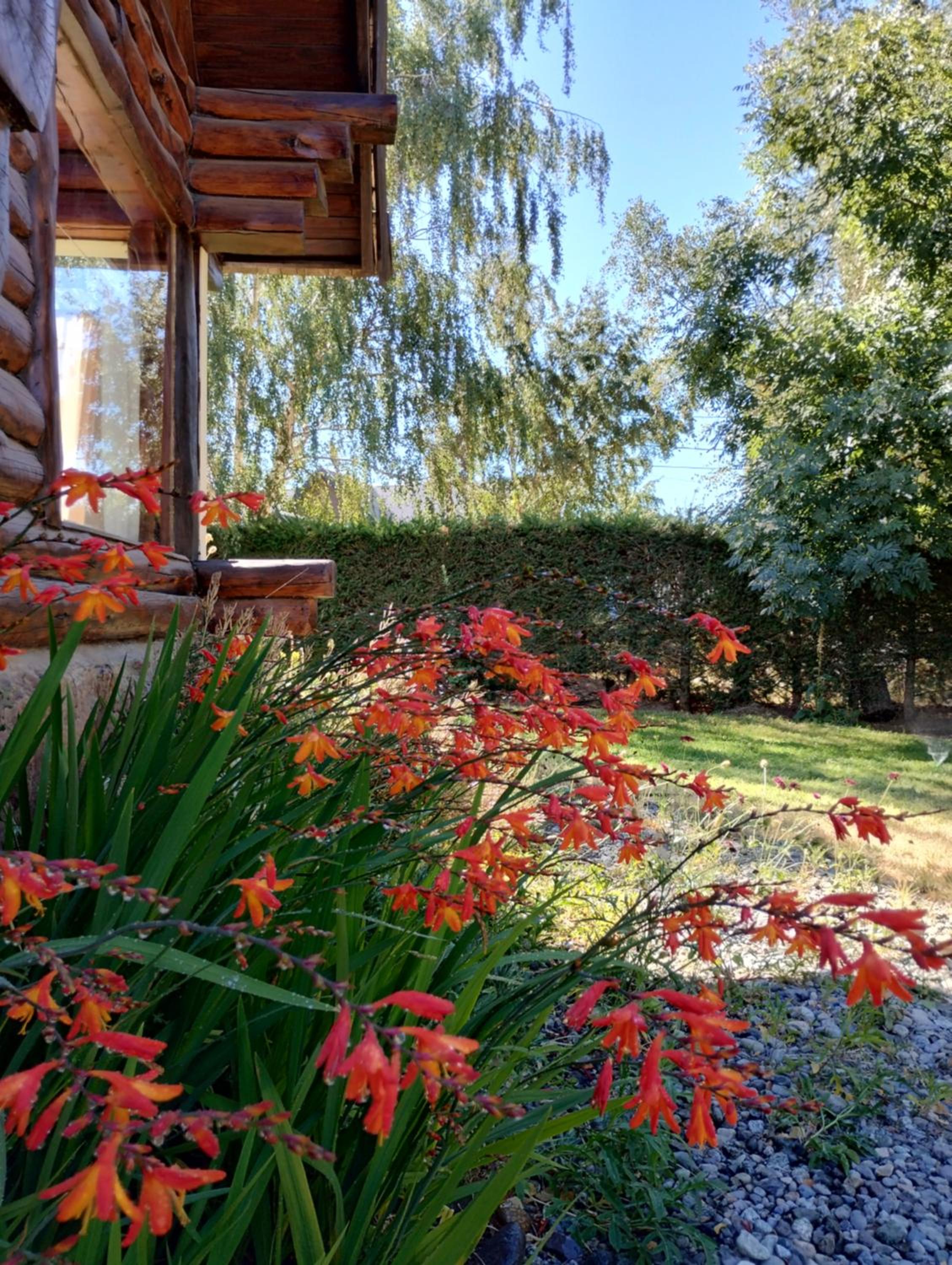 Cabaña La pionera